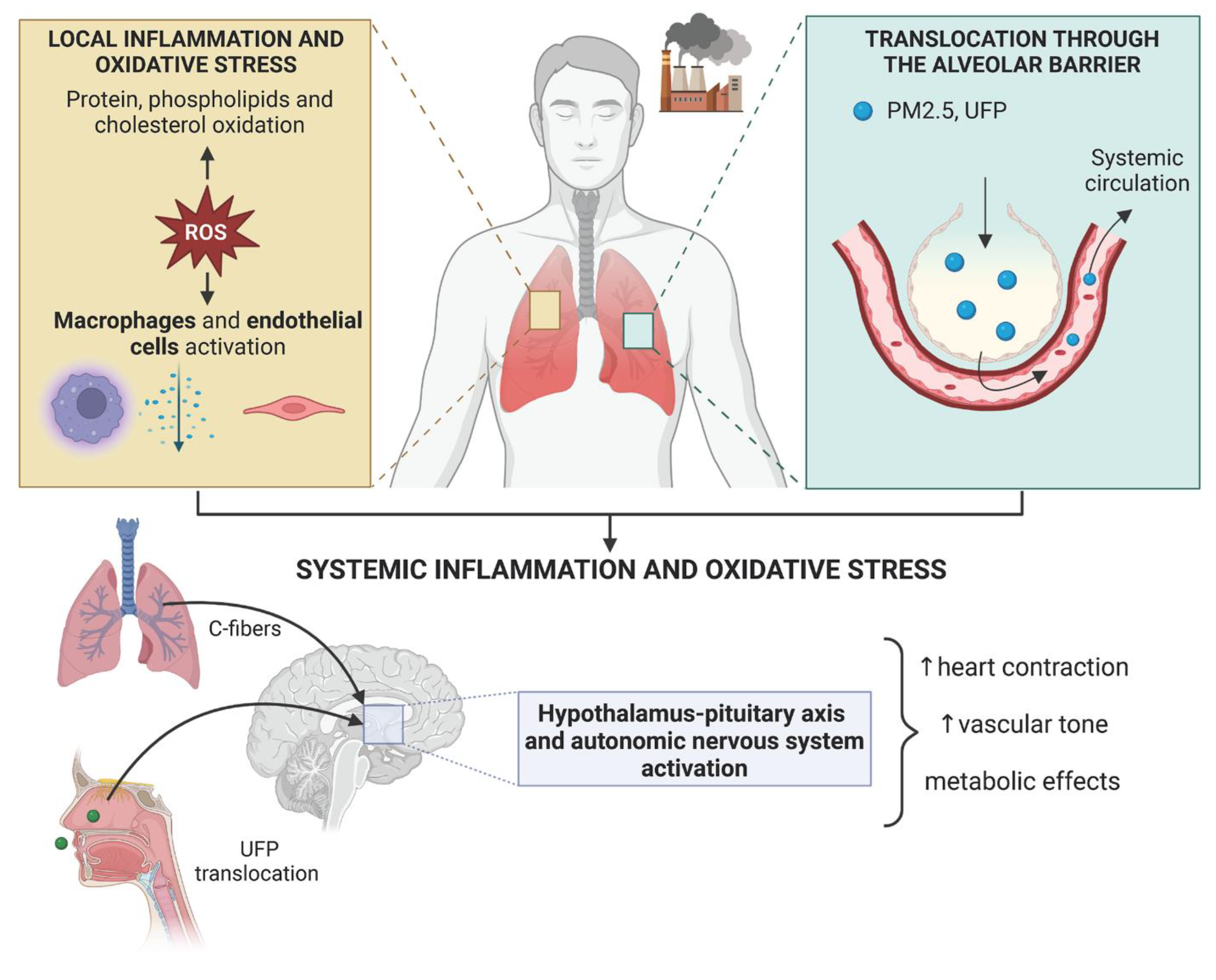 Ijms 24 00317 g002 Ijms 24 00317 g002