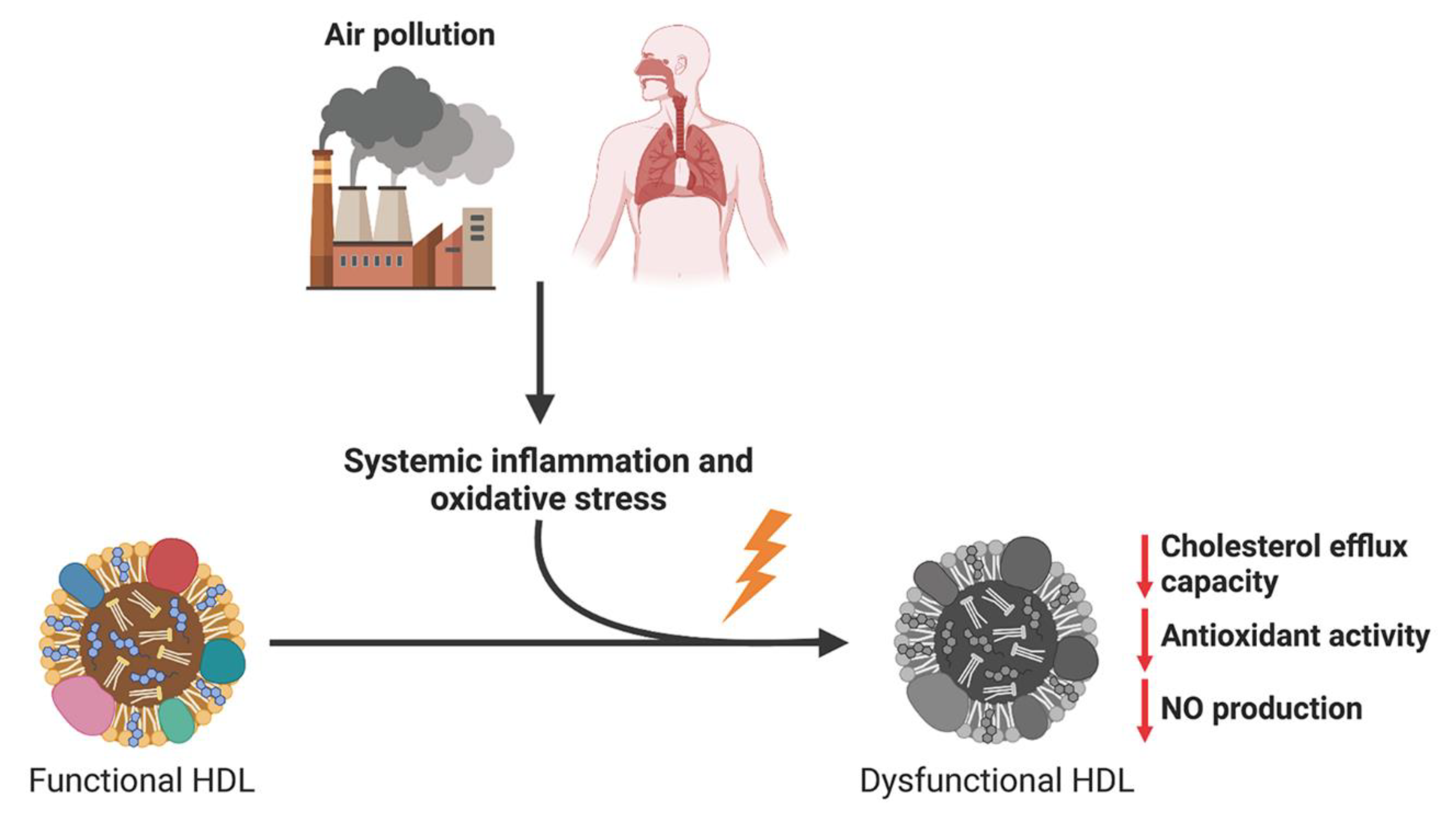 Ijms 24 00317 g004 Ijms 24 00317 g004