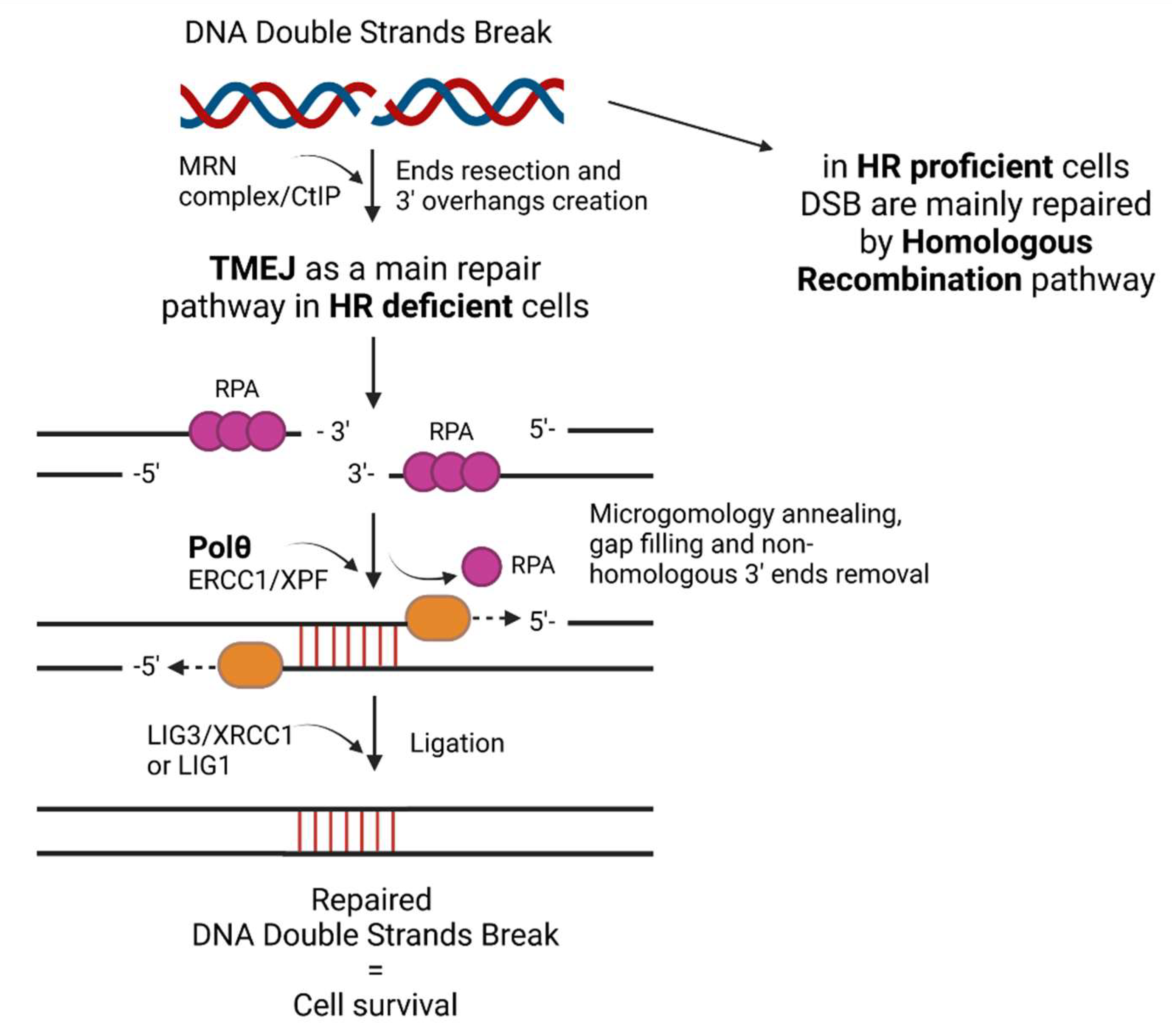 Hrblock Dna Login - blwzp8b