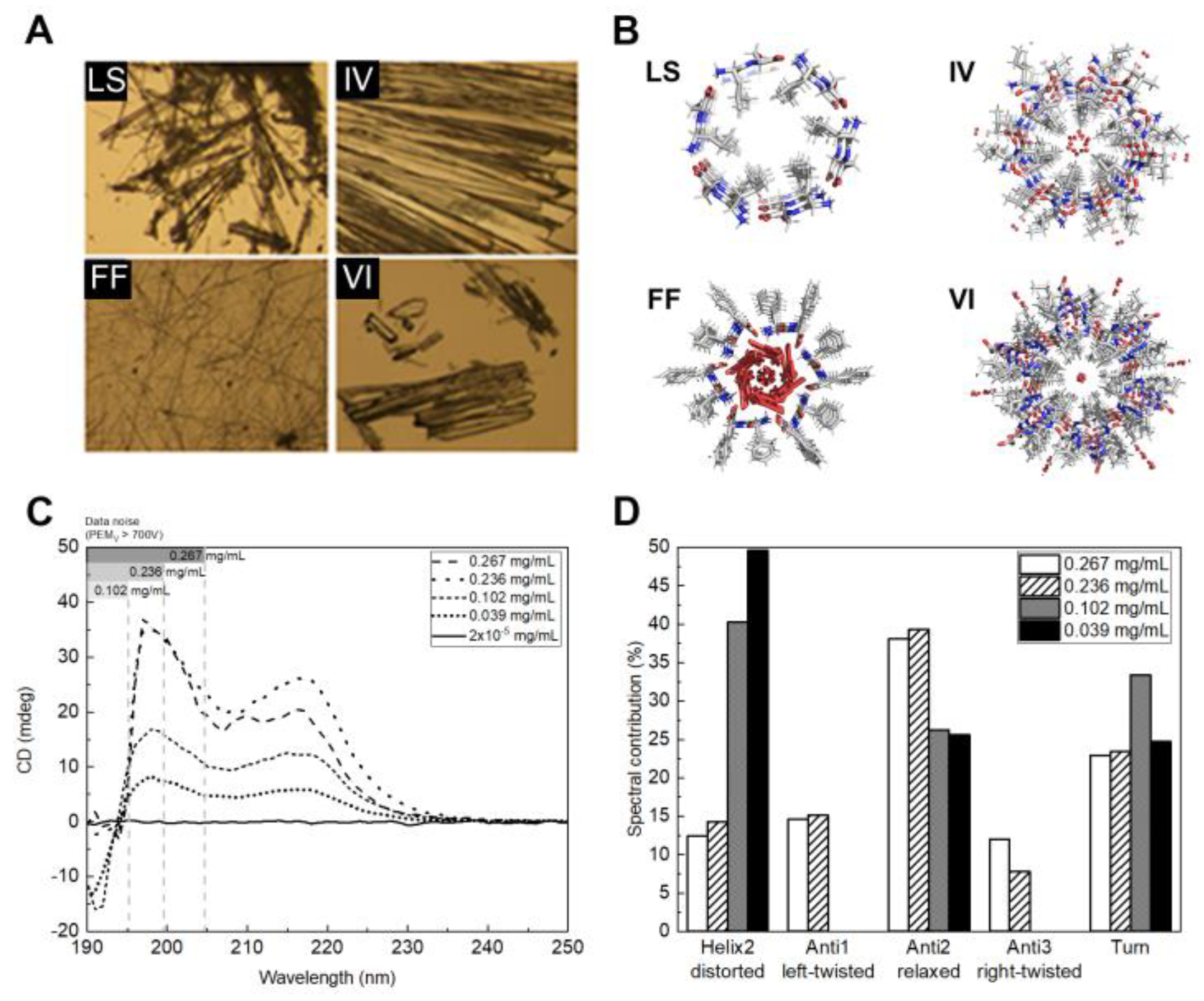 Ijms 24 00328 g001 Ijms 24 00328 g001