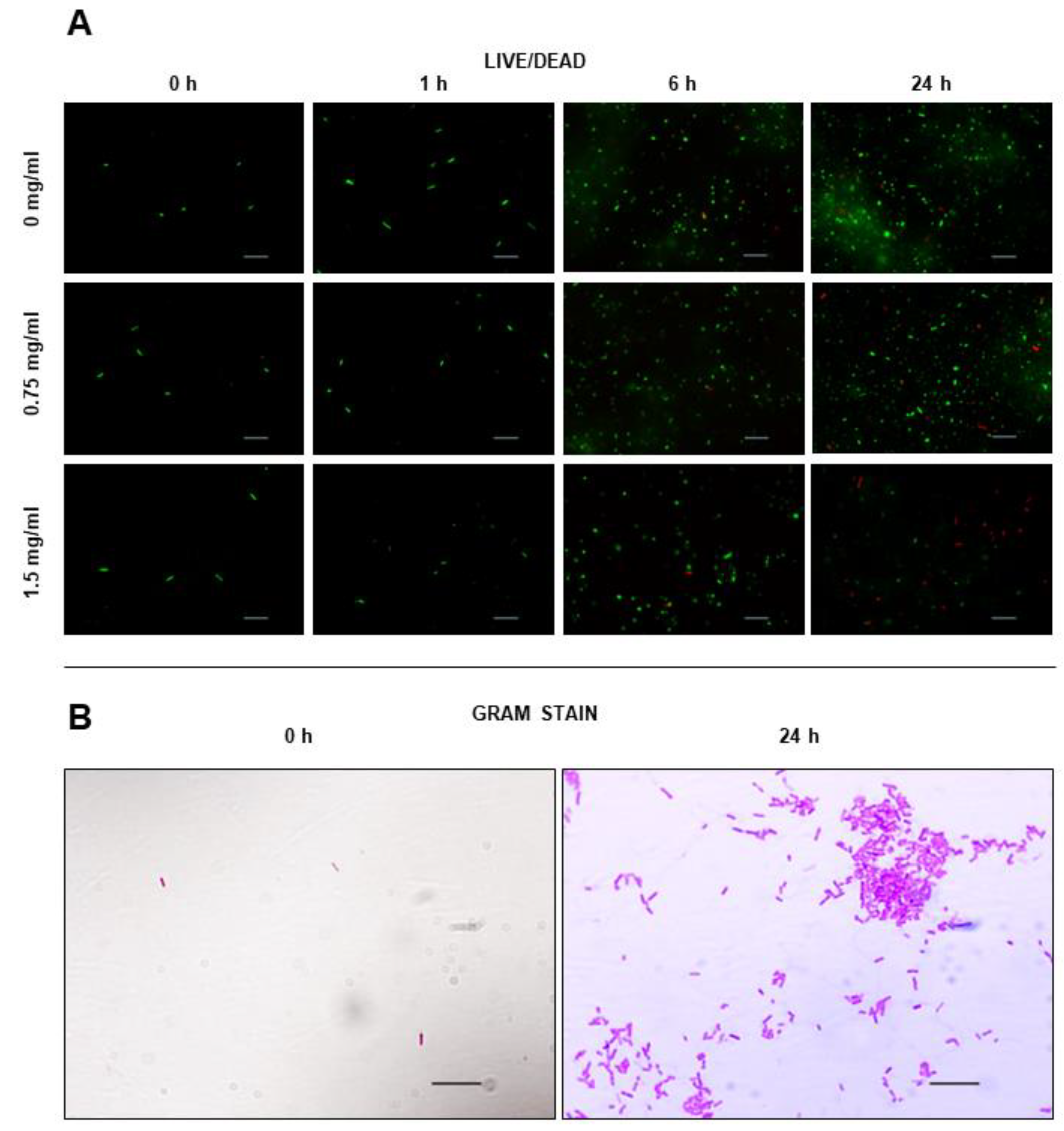 Ijms 24 00328 g005 Ijms 24 00328 g005