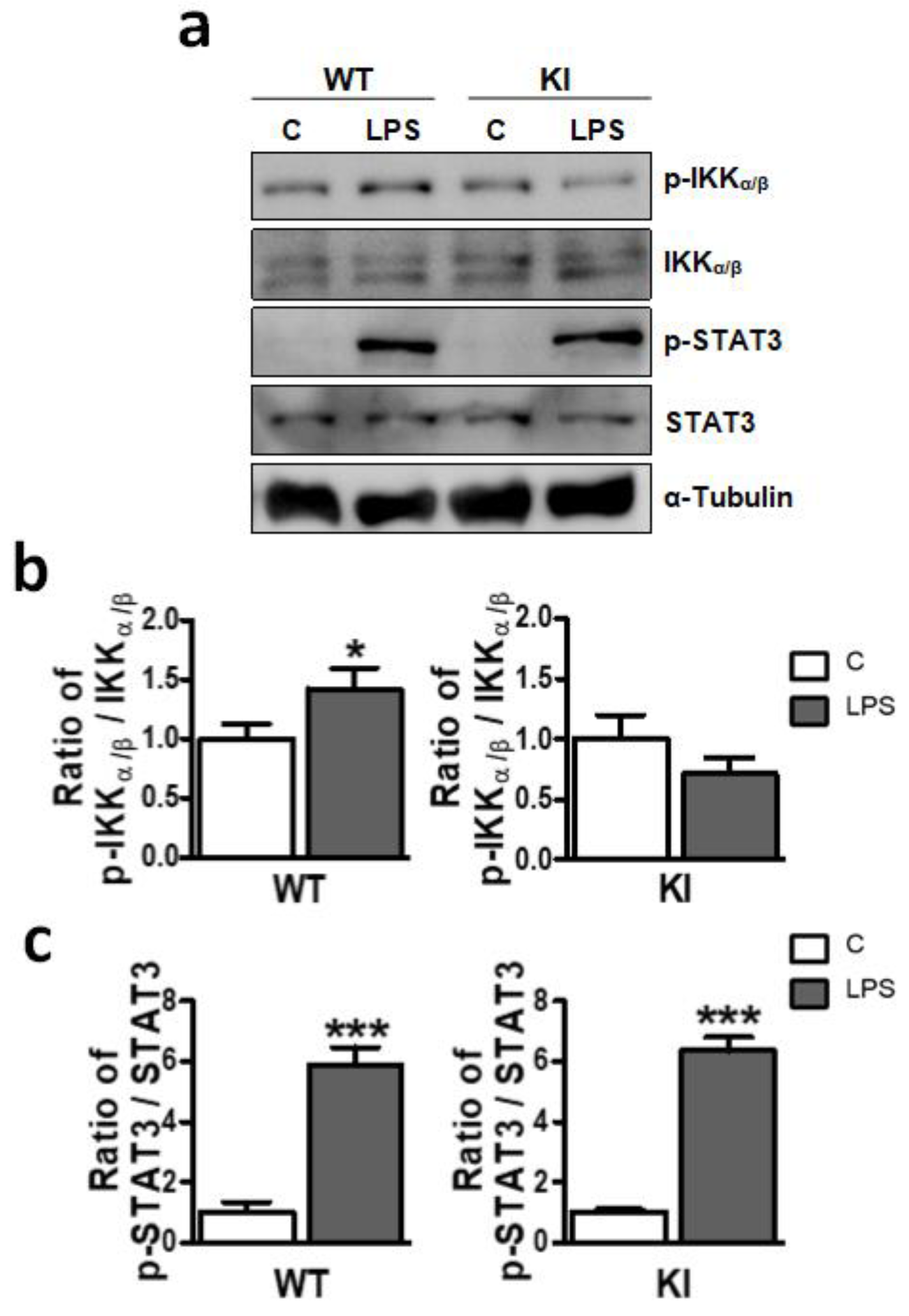 Ijms 24 00337 g006 Ijms 24 00337 g006