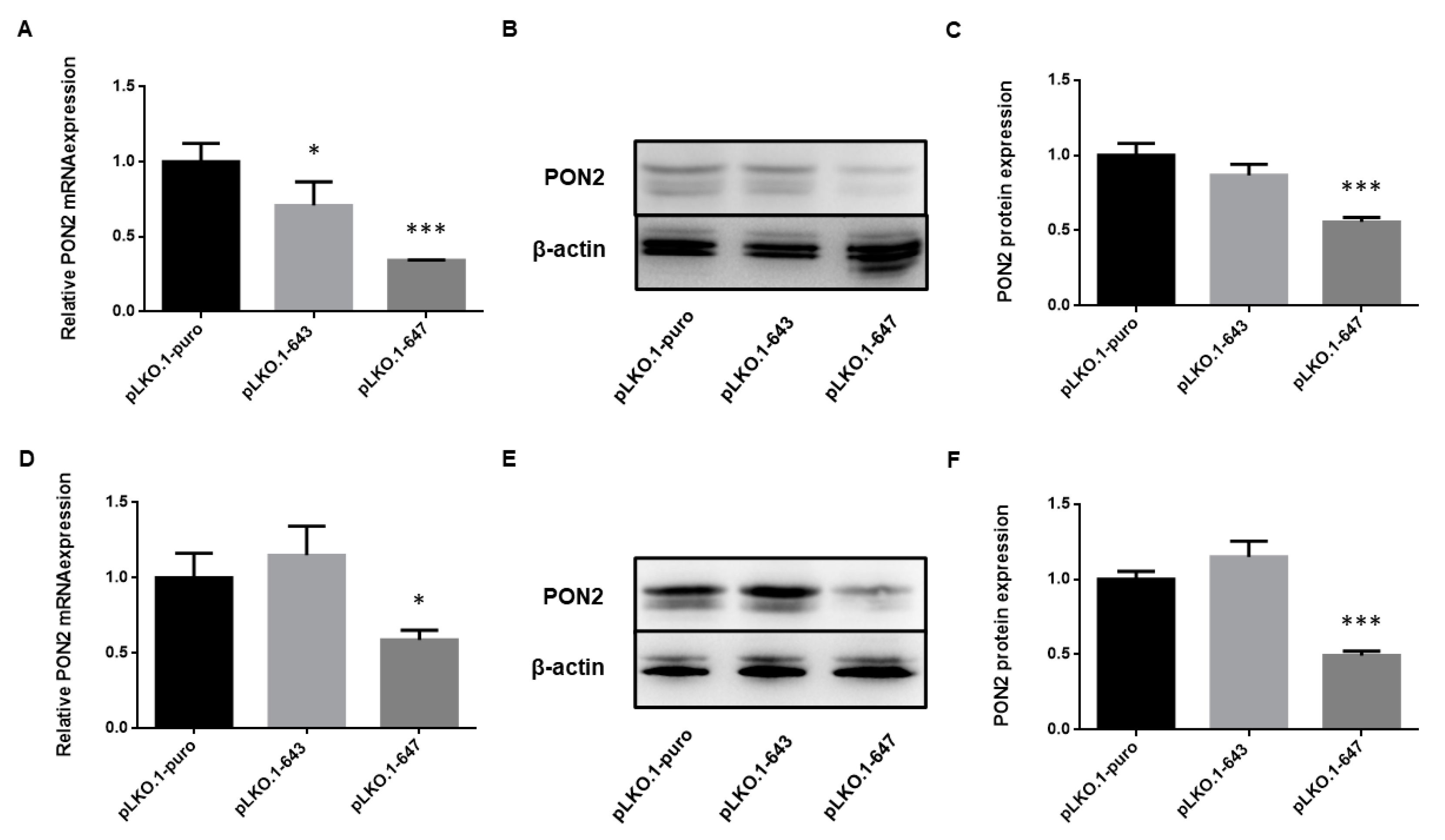 Ijms 24 00338 g001 Ijms 24 00338 g001