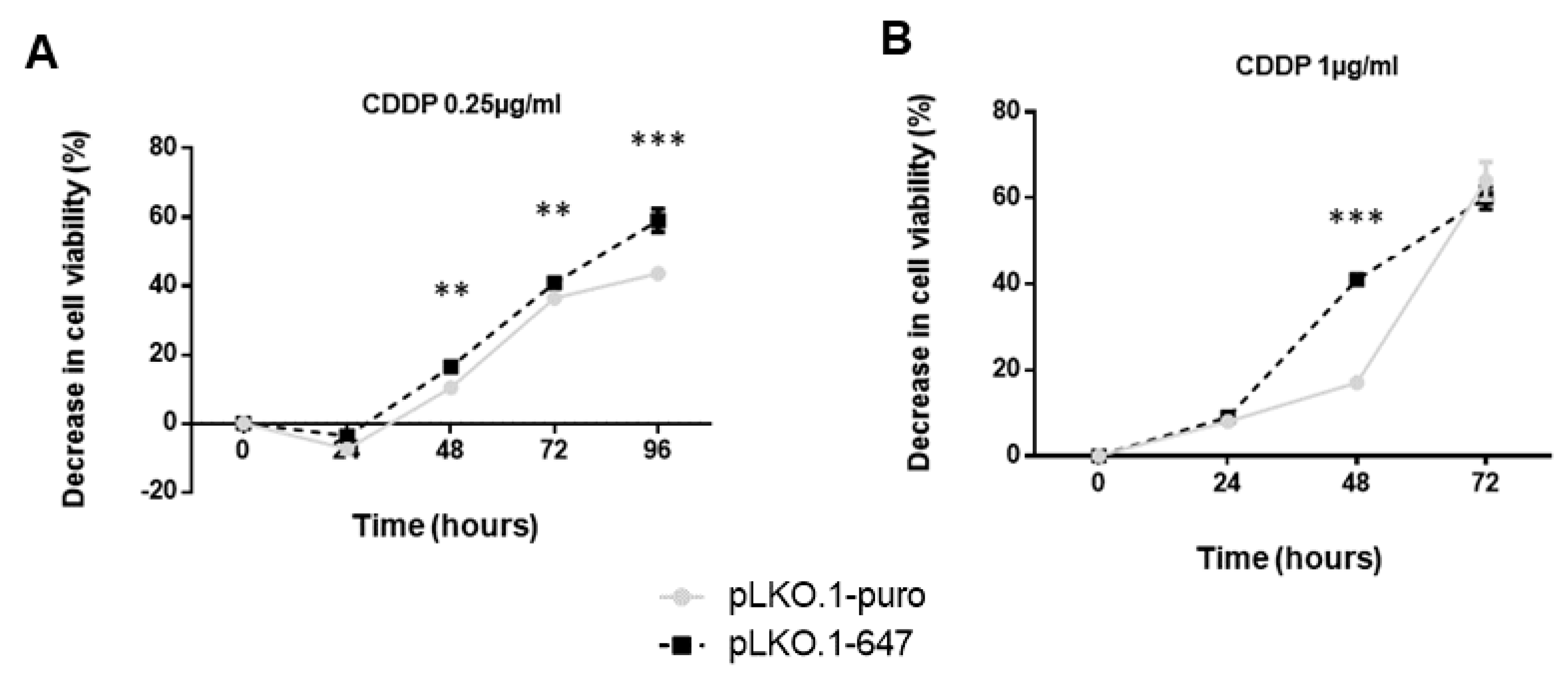 Ijms 24 00338 g004 Ijms 24 00338 g004
