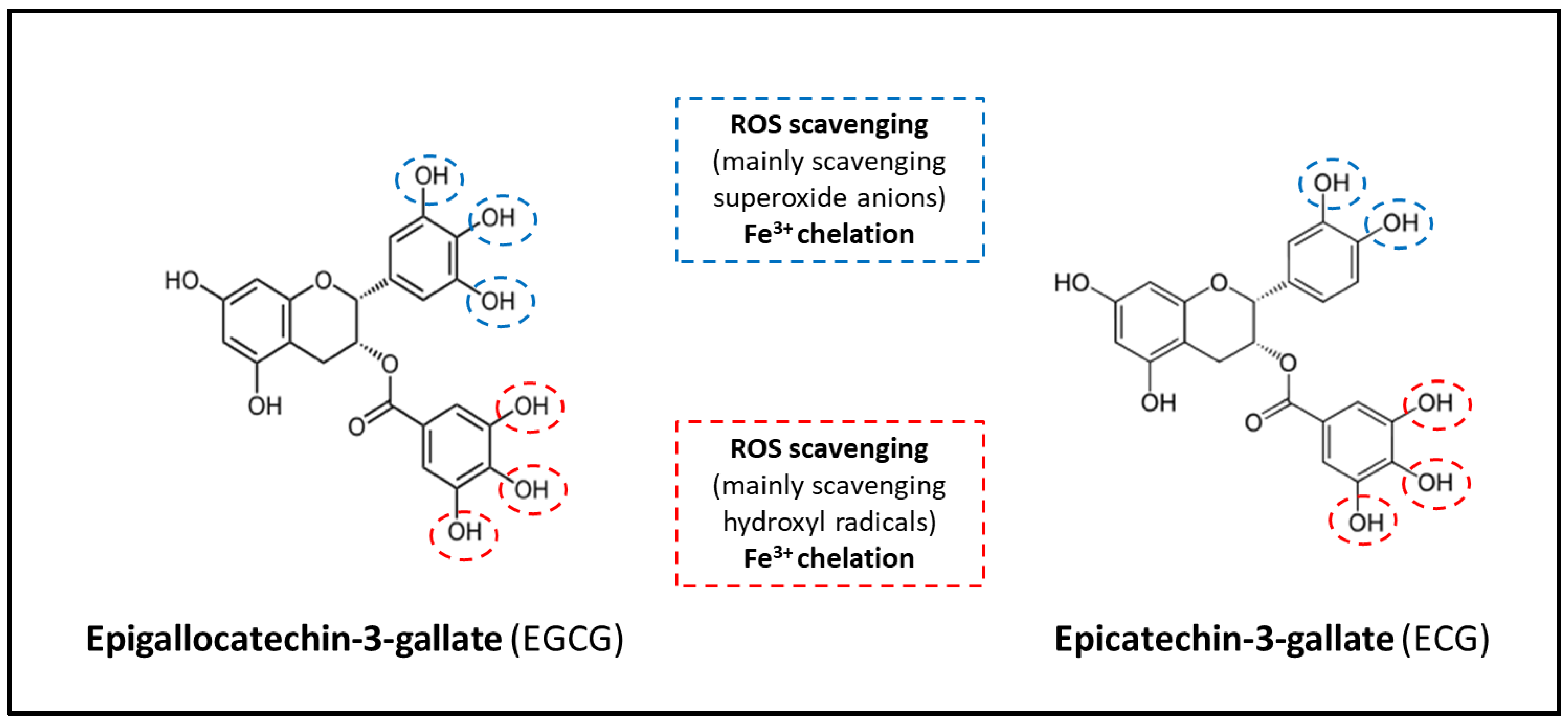 Ijms 24 00340 g002 Ijms 24 00340 g002