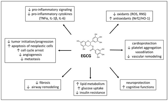 Therapeutic Effects of Green Tea Polyphenol (‒)-Epigallocatechin-3 ...