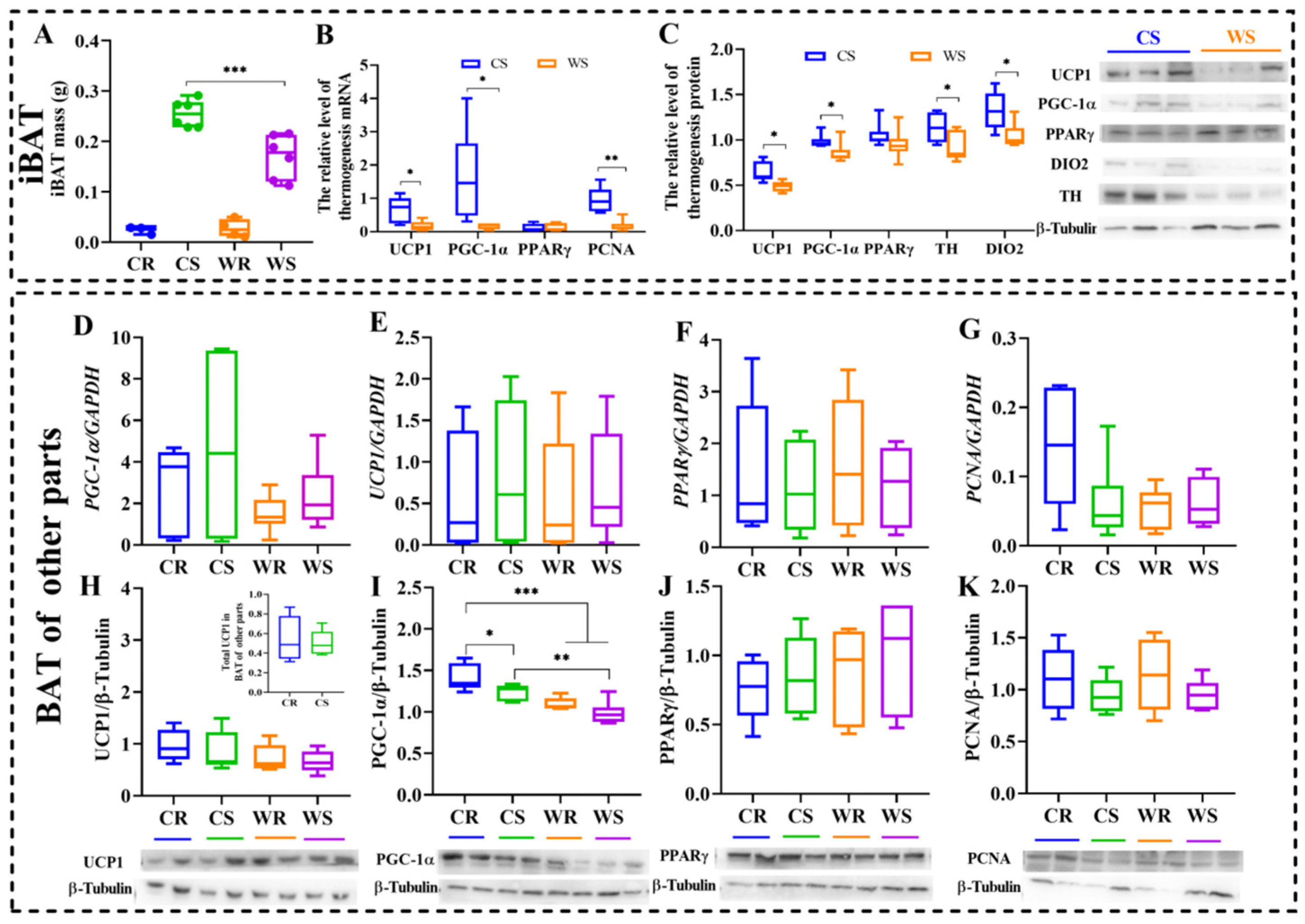 Ijms 24 00342 g002 Ijms 24 00342 g002