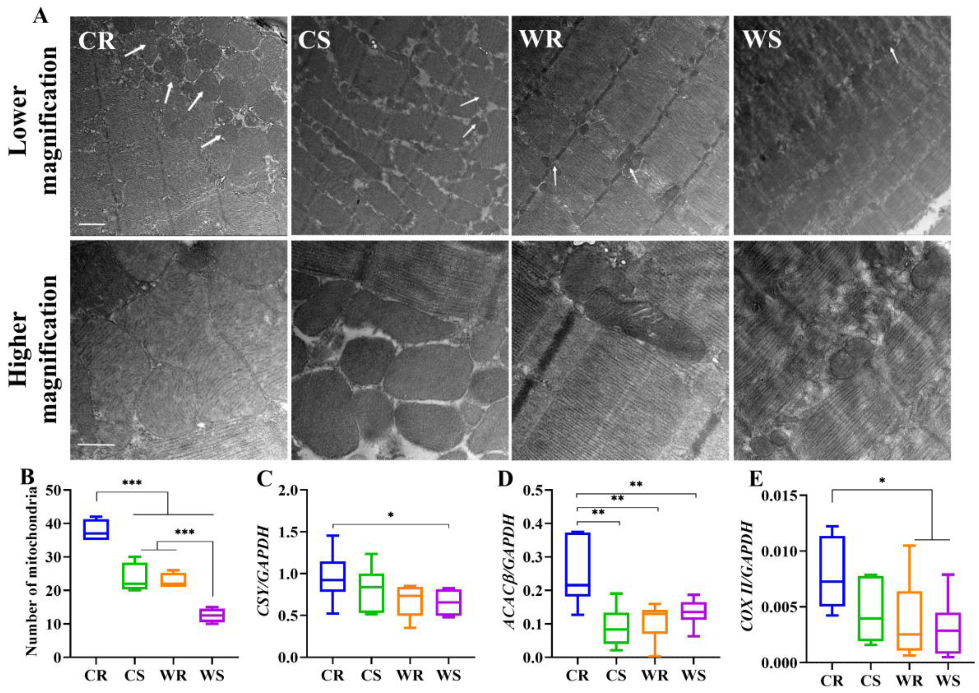 Ijms 24 00342 g005 Ijms 24 00342 g005