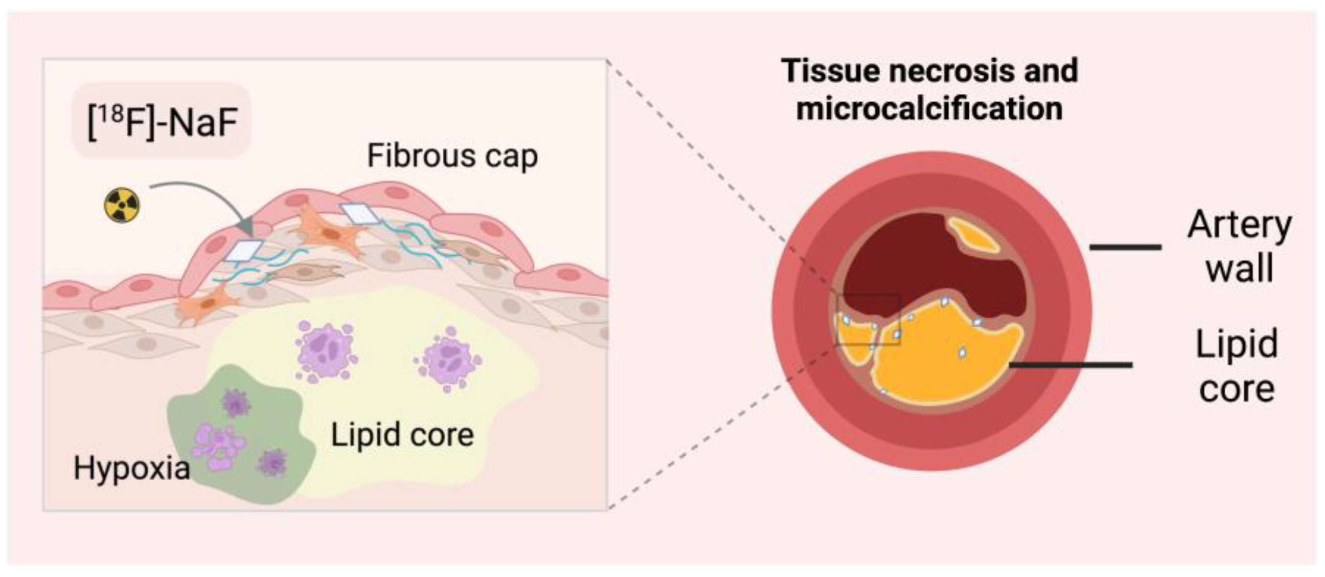 Ijms 24 00353 g004 Ijms 24 00353 g004
