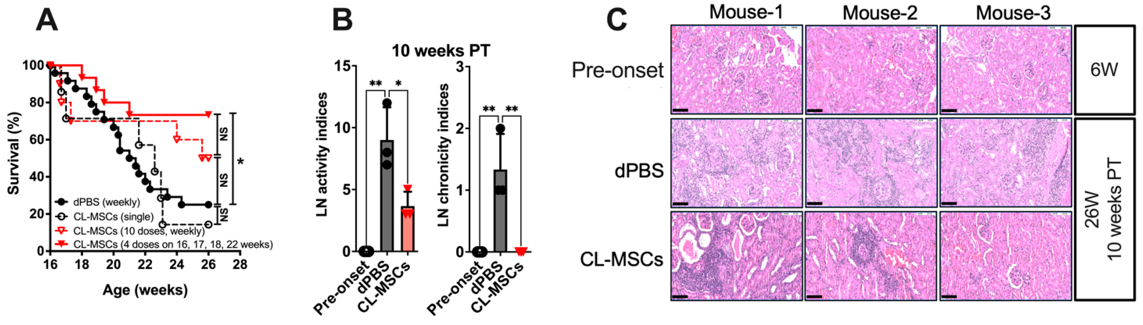 Ijms 24 00365 g001 Ijms 24 00365 g001