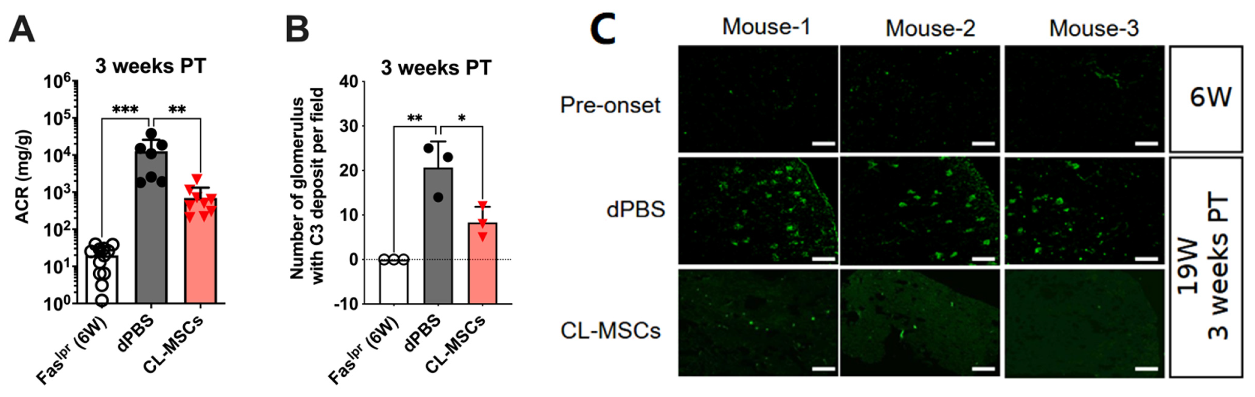 Ijms 24 00365 g002 Ijms 24 00365 g002