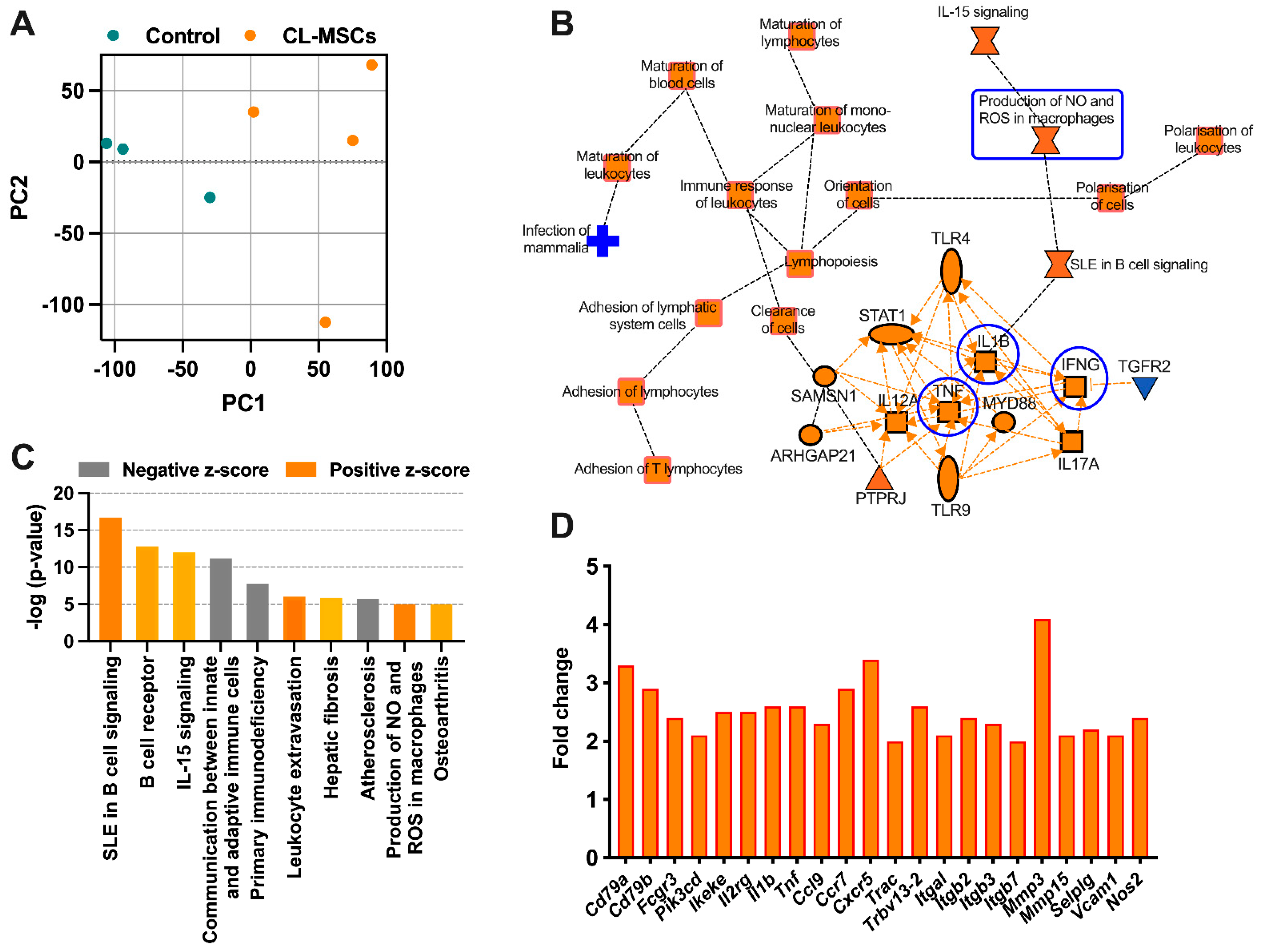 Ijms 24 00365 g005 Ijms 24 00365 g005