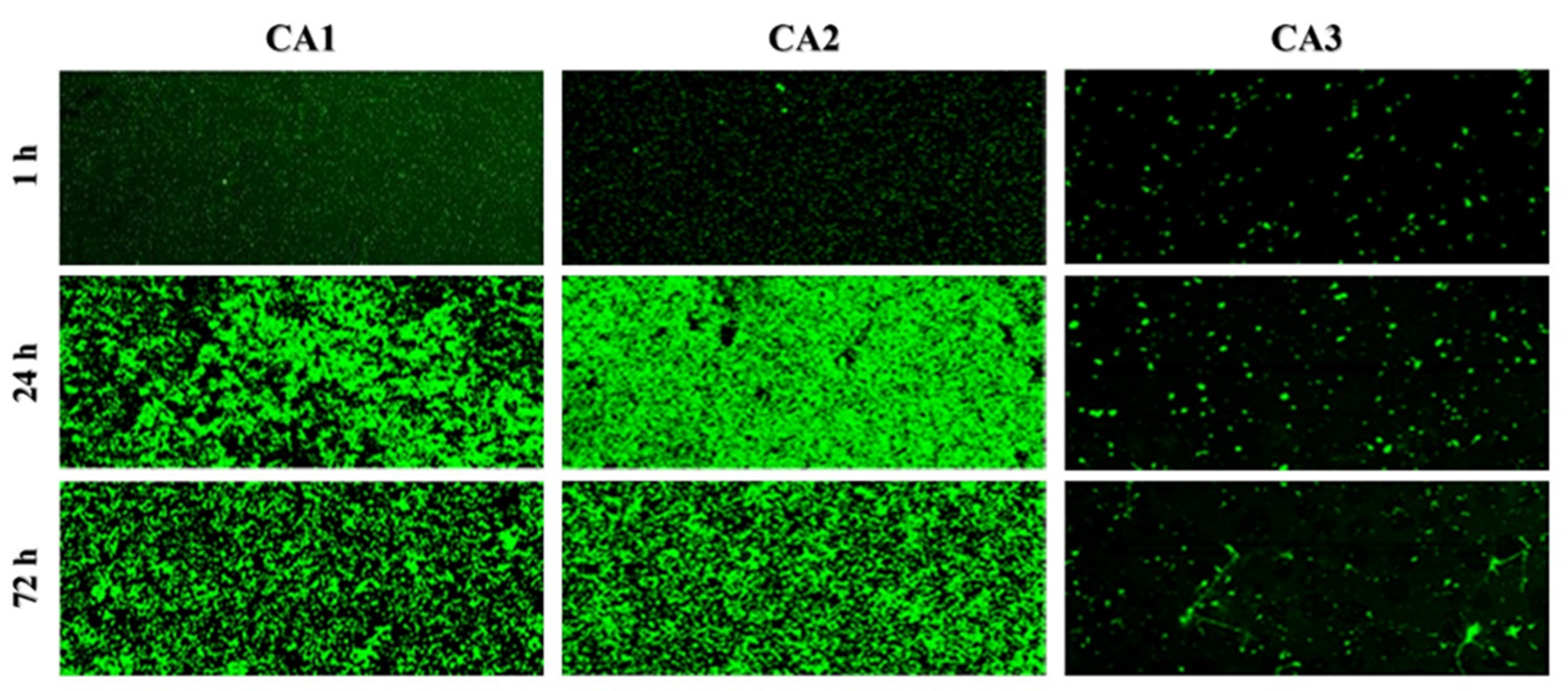 Ijms 24 00368 g001 Ijms 24 00368 g001