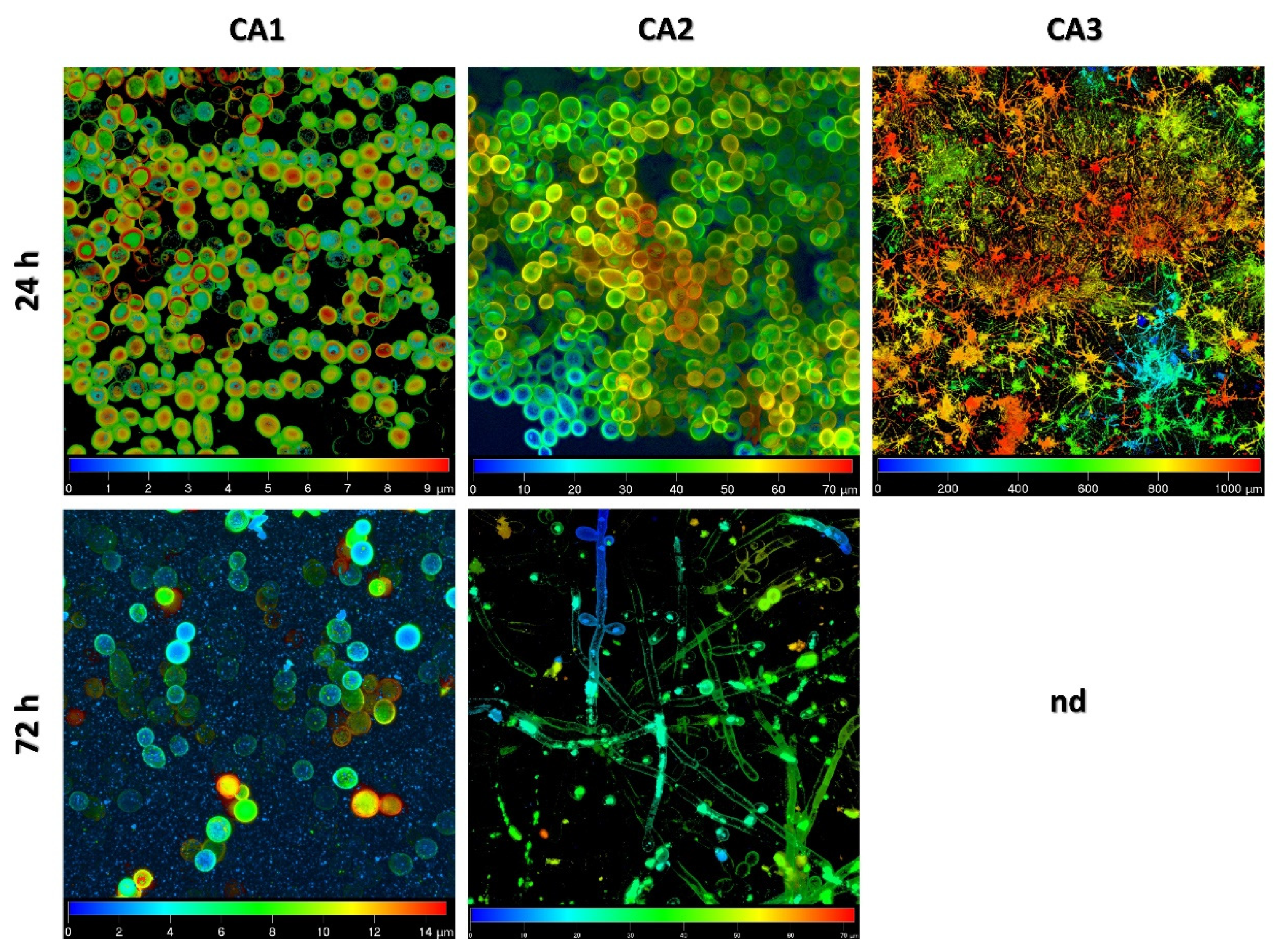 Ijms 24 00368 g002 Ijms 24 00368 g002