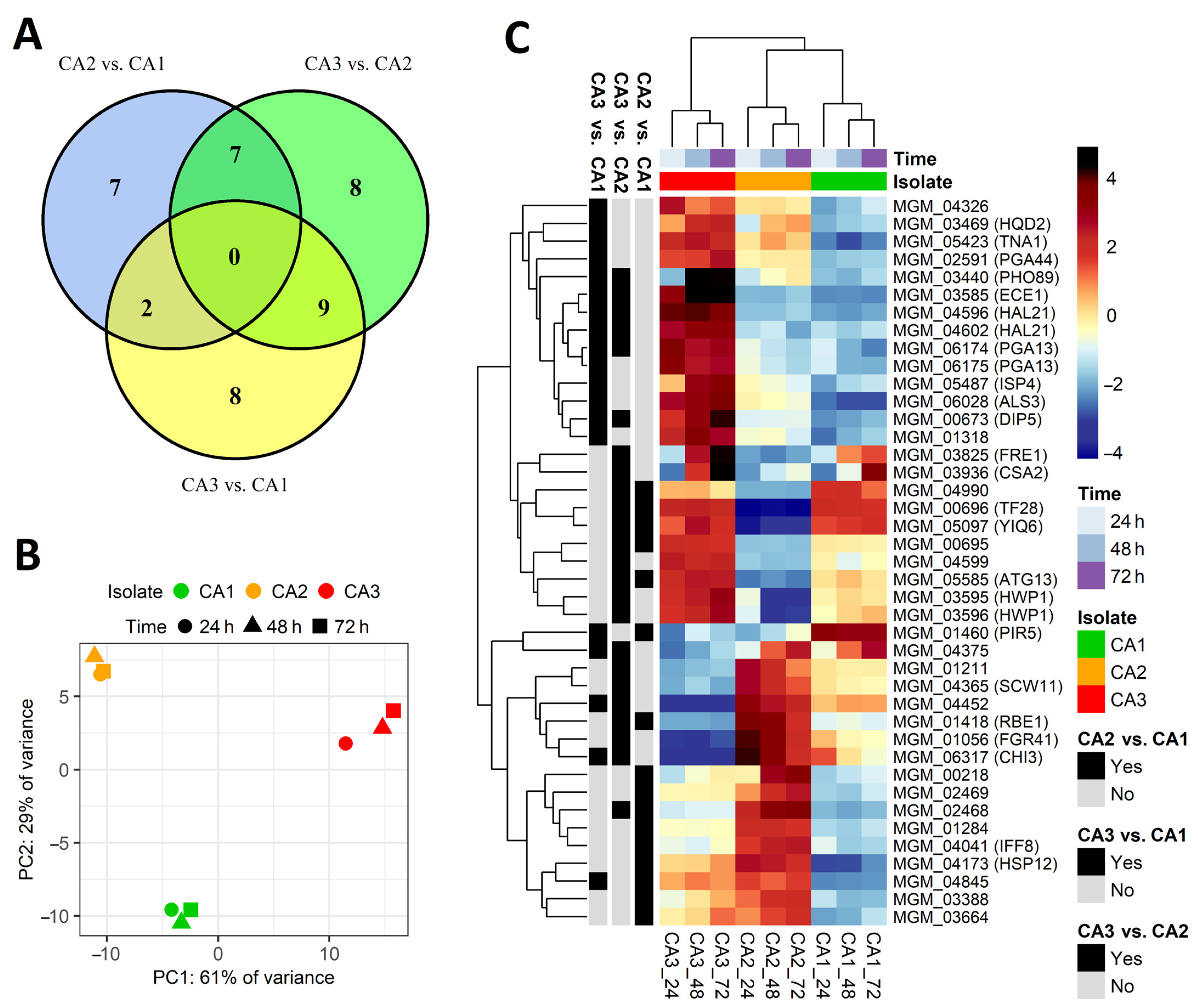 Ijms 24 00368 g003 Ijms 24 00368 g003