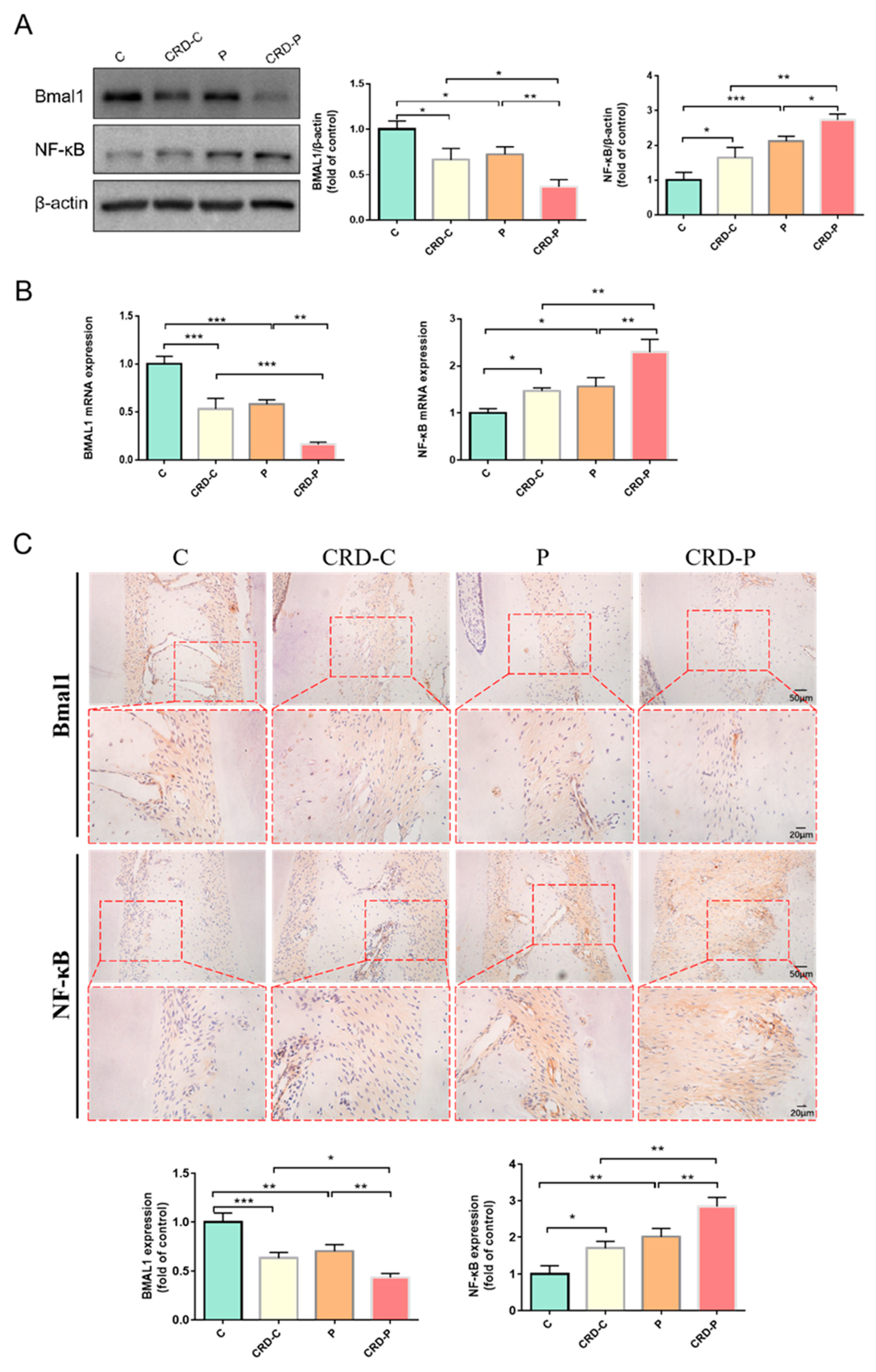 Ijms 24 00374 g003 Ijms 24 00374 g003
