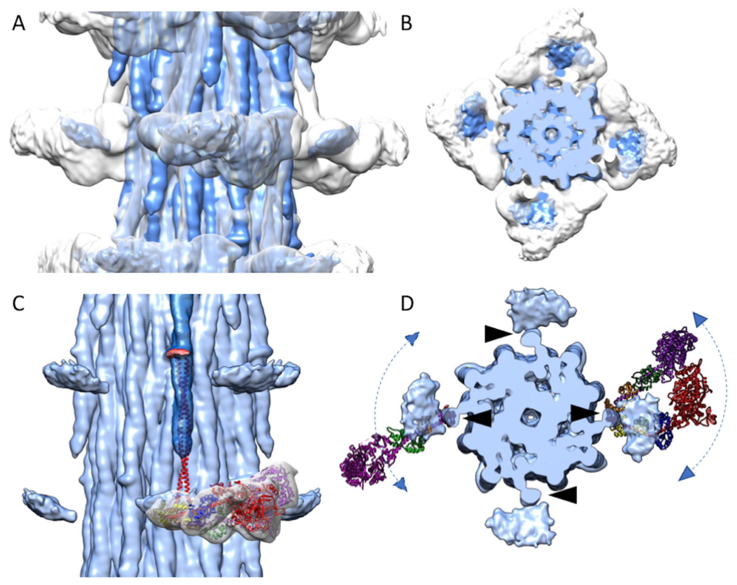 Ijms 24 00377 g003 Ijms 24 00377 g003