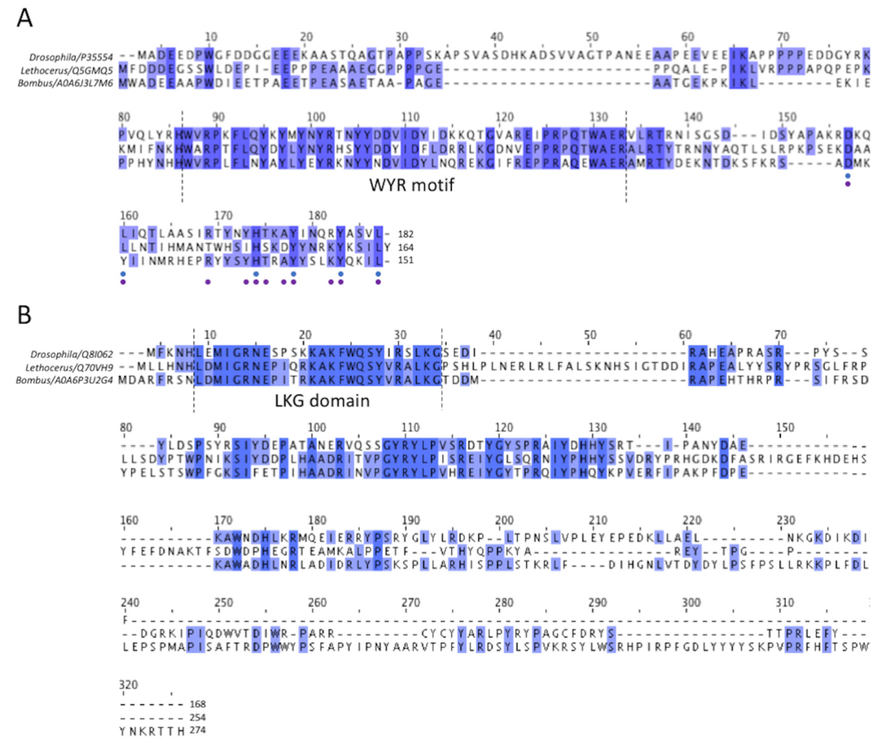 Ijms 24 00377 g004 Ijms 24 00377 g004