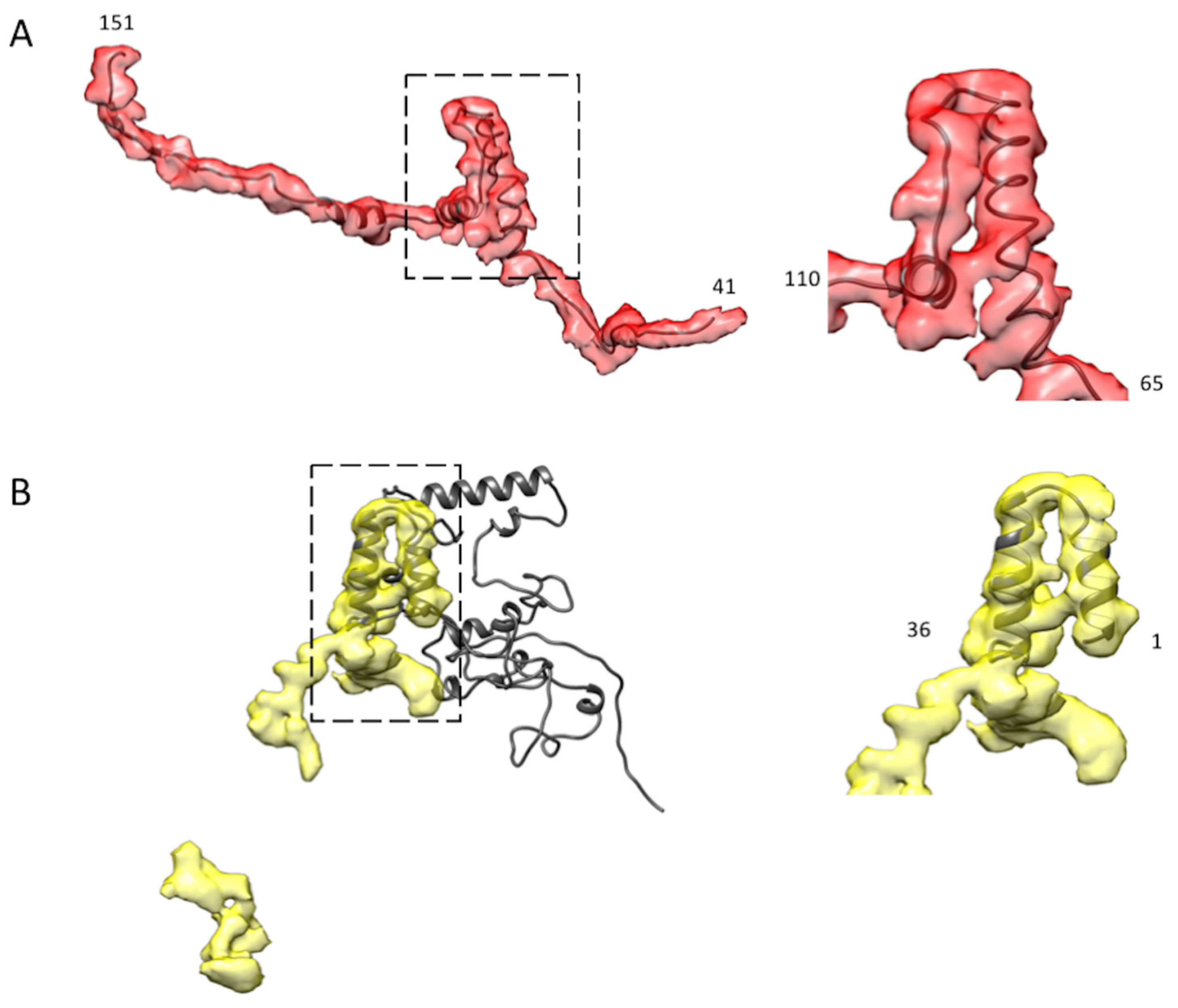 Ijms 24 00377 g006 Ijms 24 00377 g006