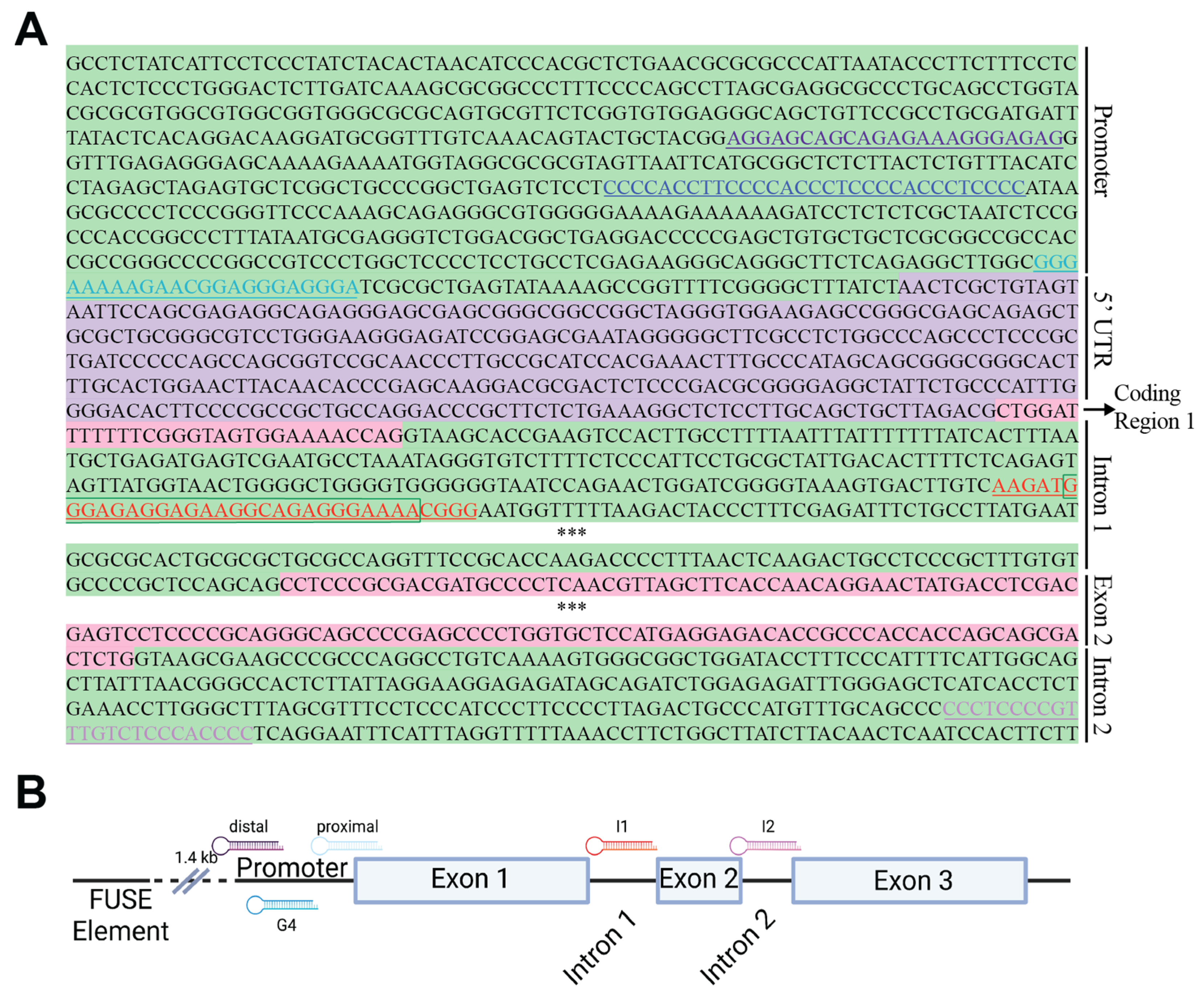 Ijms 24 00378 g001 Ijms 24 00378 g001