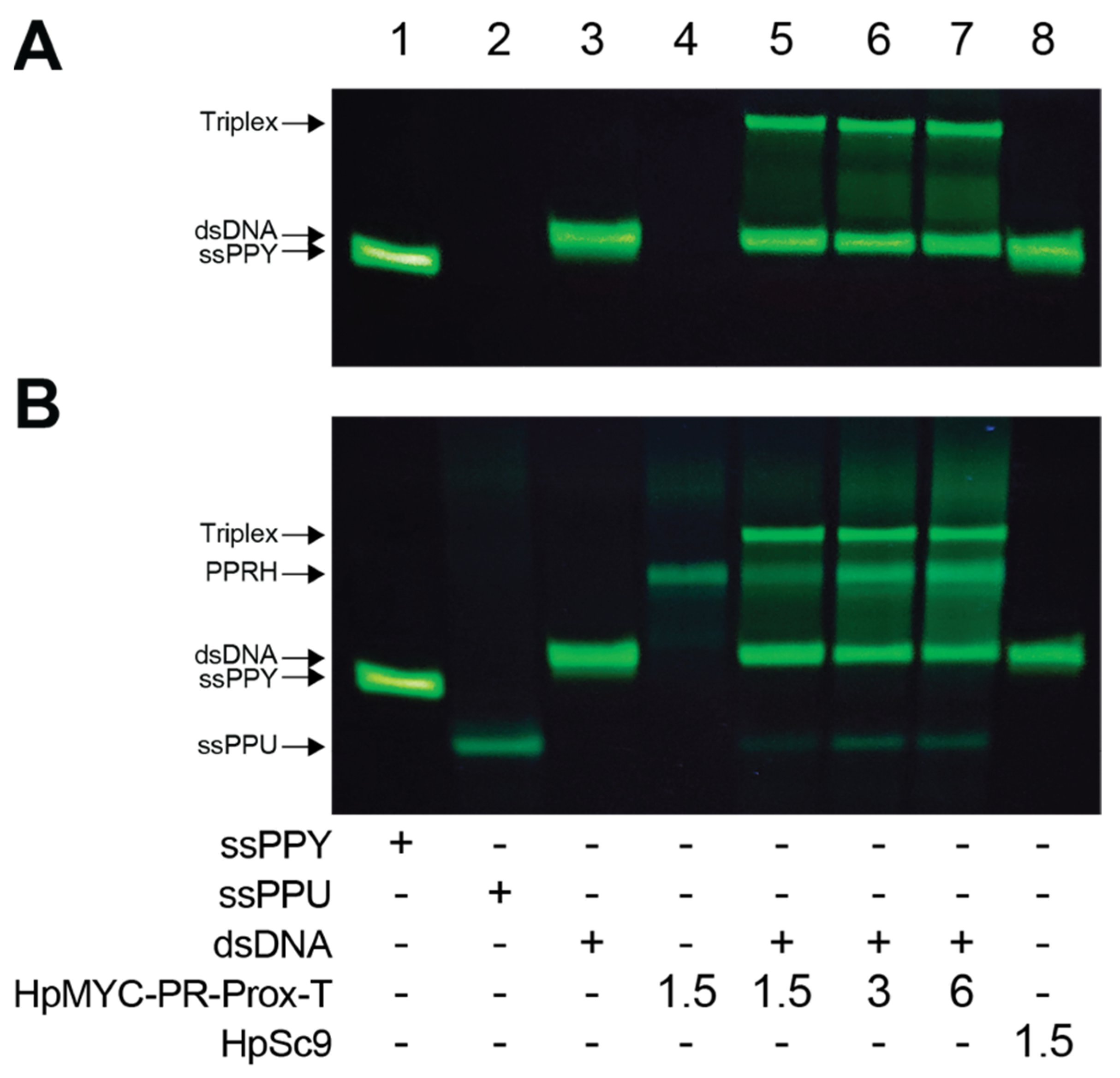 Ijms 24 00378 g004 Ijms 24 00378 g004