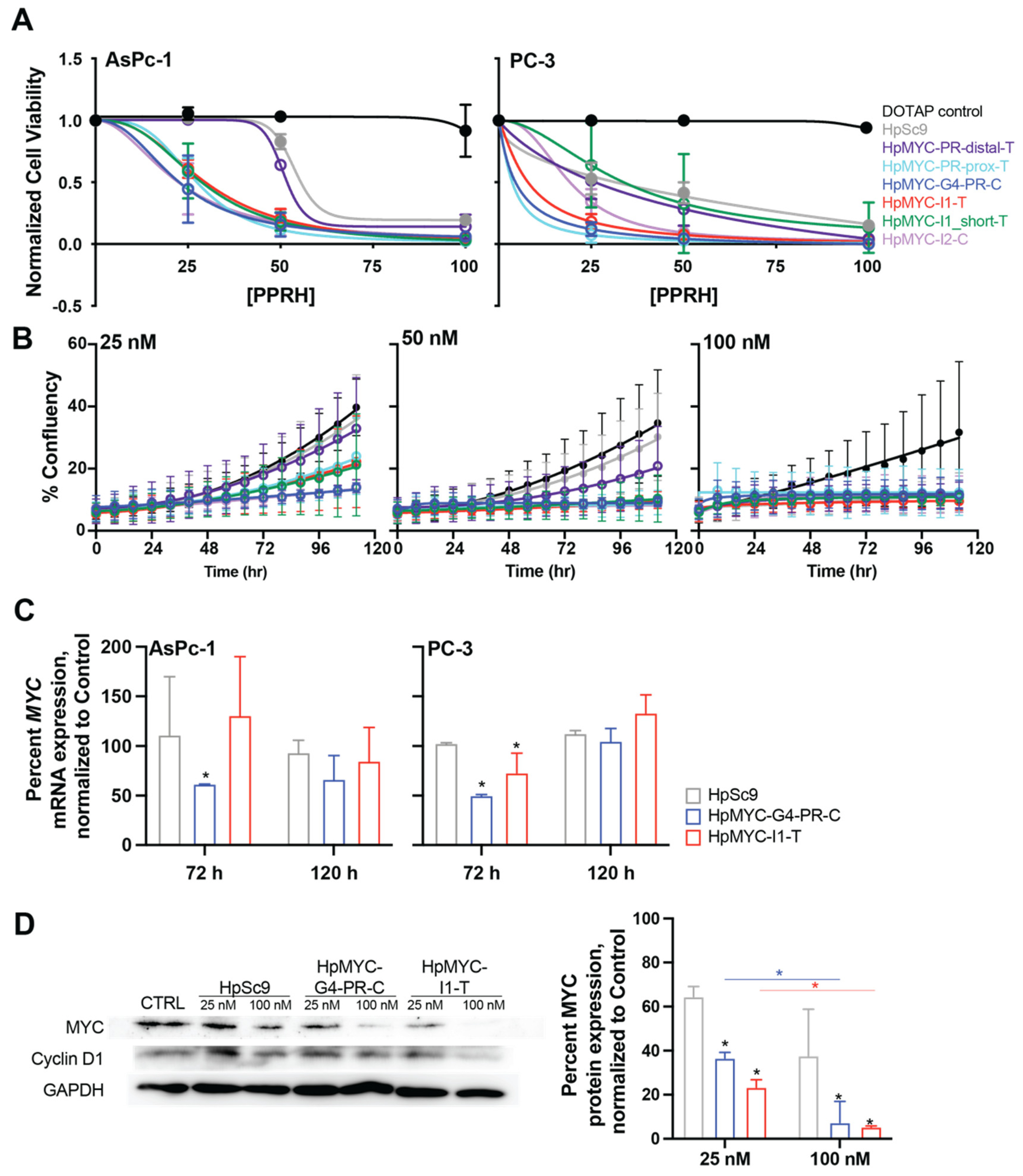 Ijms 24 00378 g007 Ijms 24 00378 g007