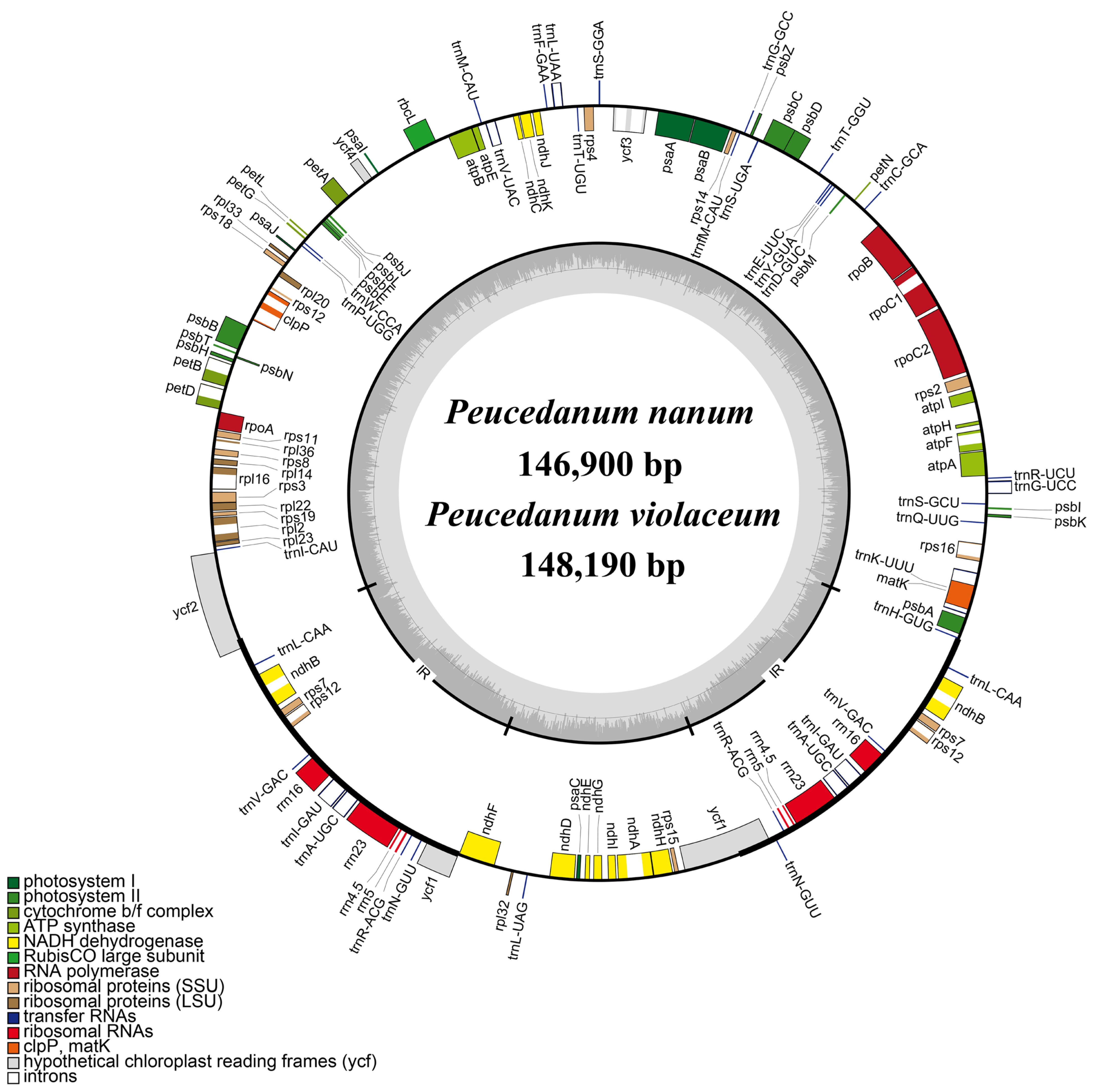 Ijms 24 00382 g002 Ijms 24 00382 g002