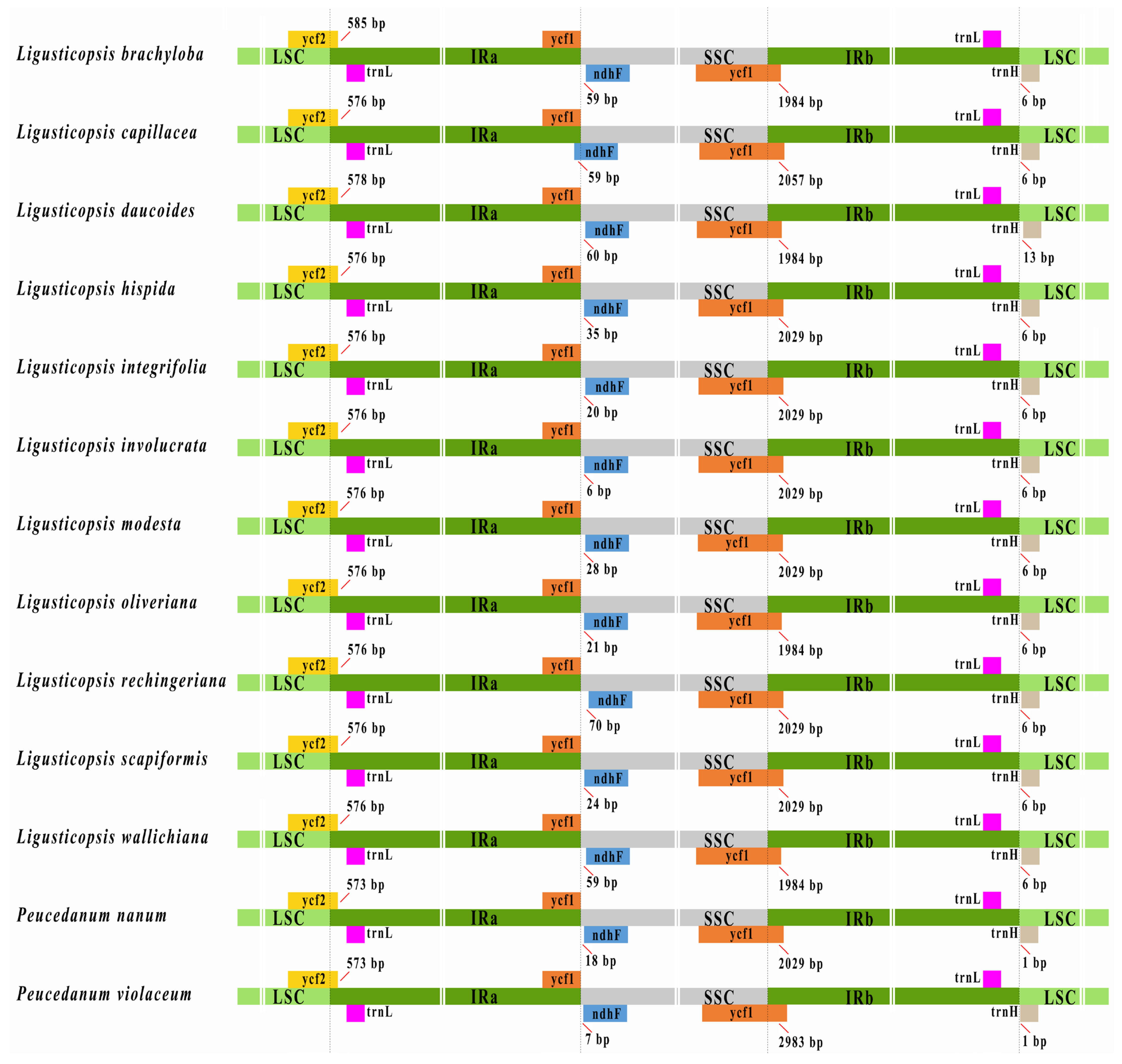 Ijms 24 00382 g005 Ijms 24 00382 g005