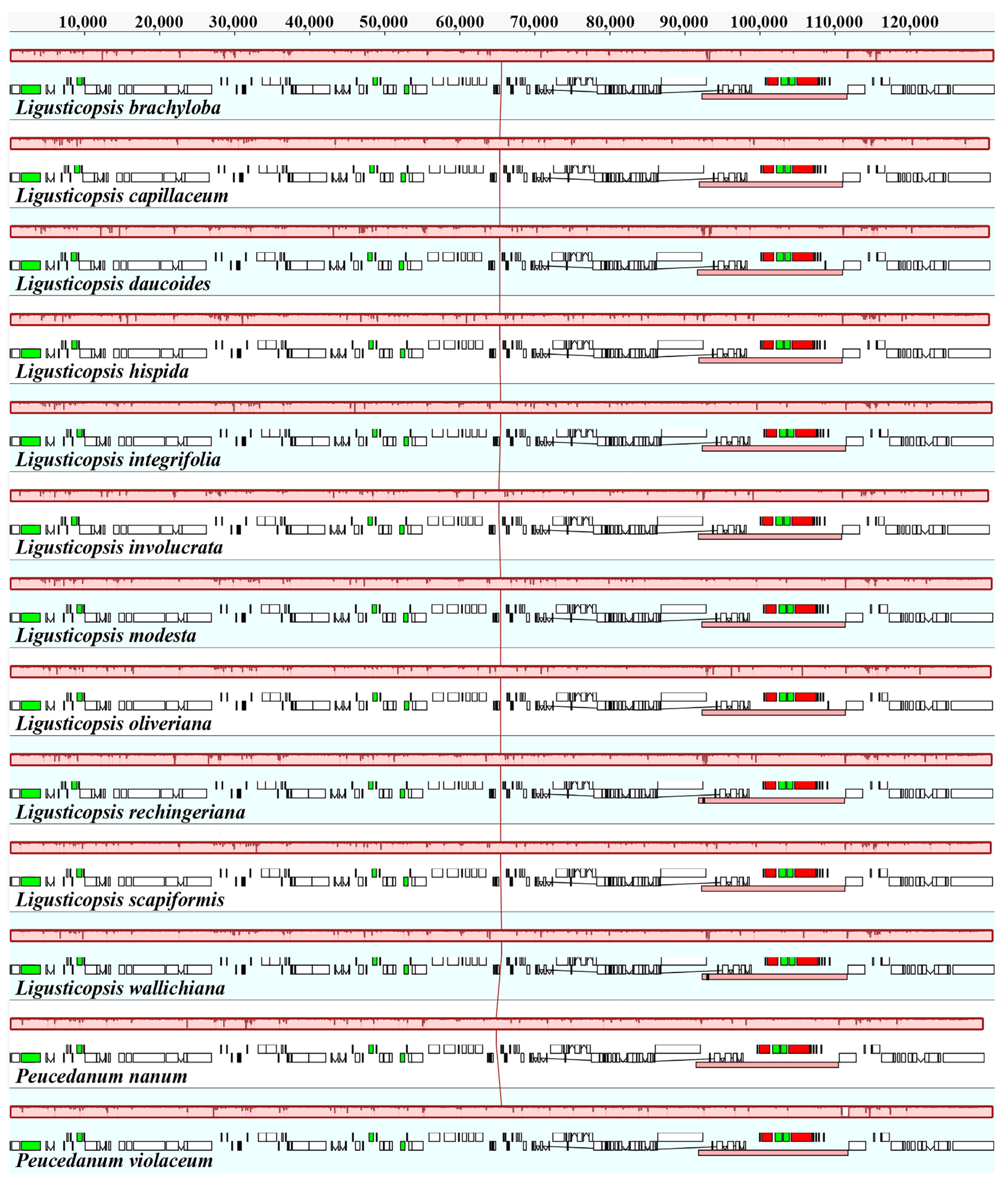 Ijms 24 00382 g006 Ijms 24 00382 g006