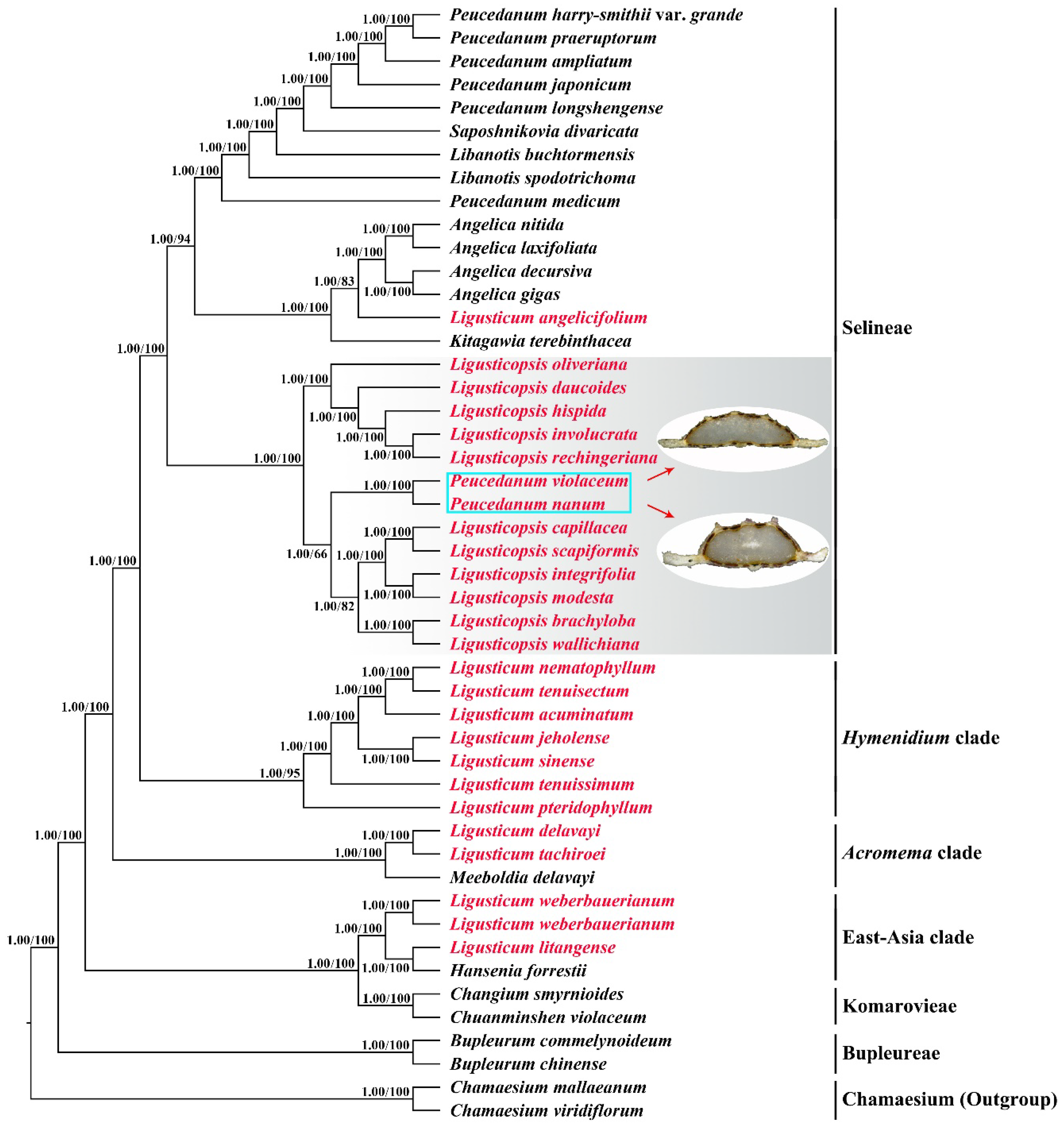 Ijms 24 00382 g009 Ijms 24 00382 g009