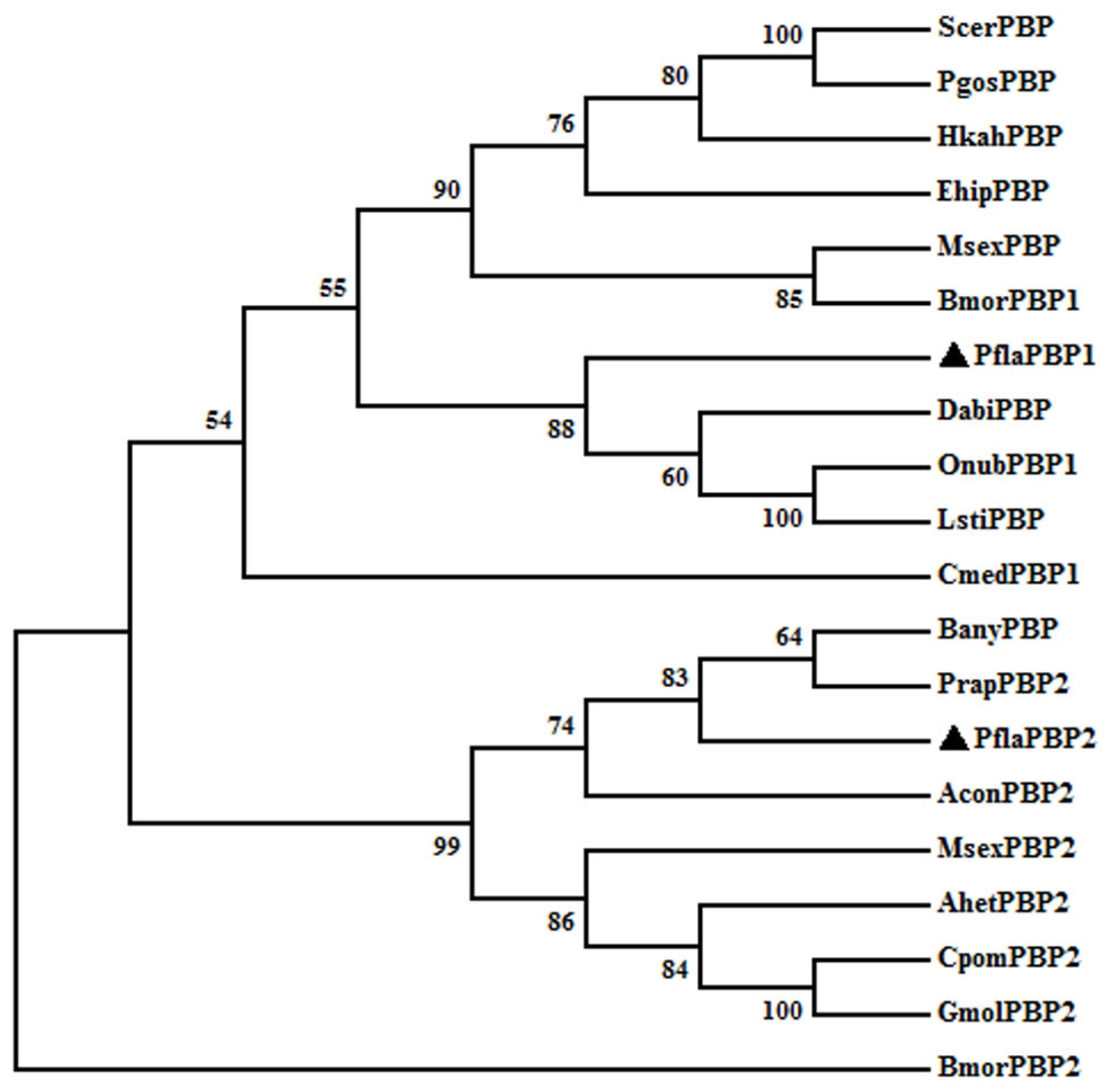 Ijms 24 00385 g001 Ijms 24 00385 g001