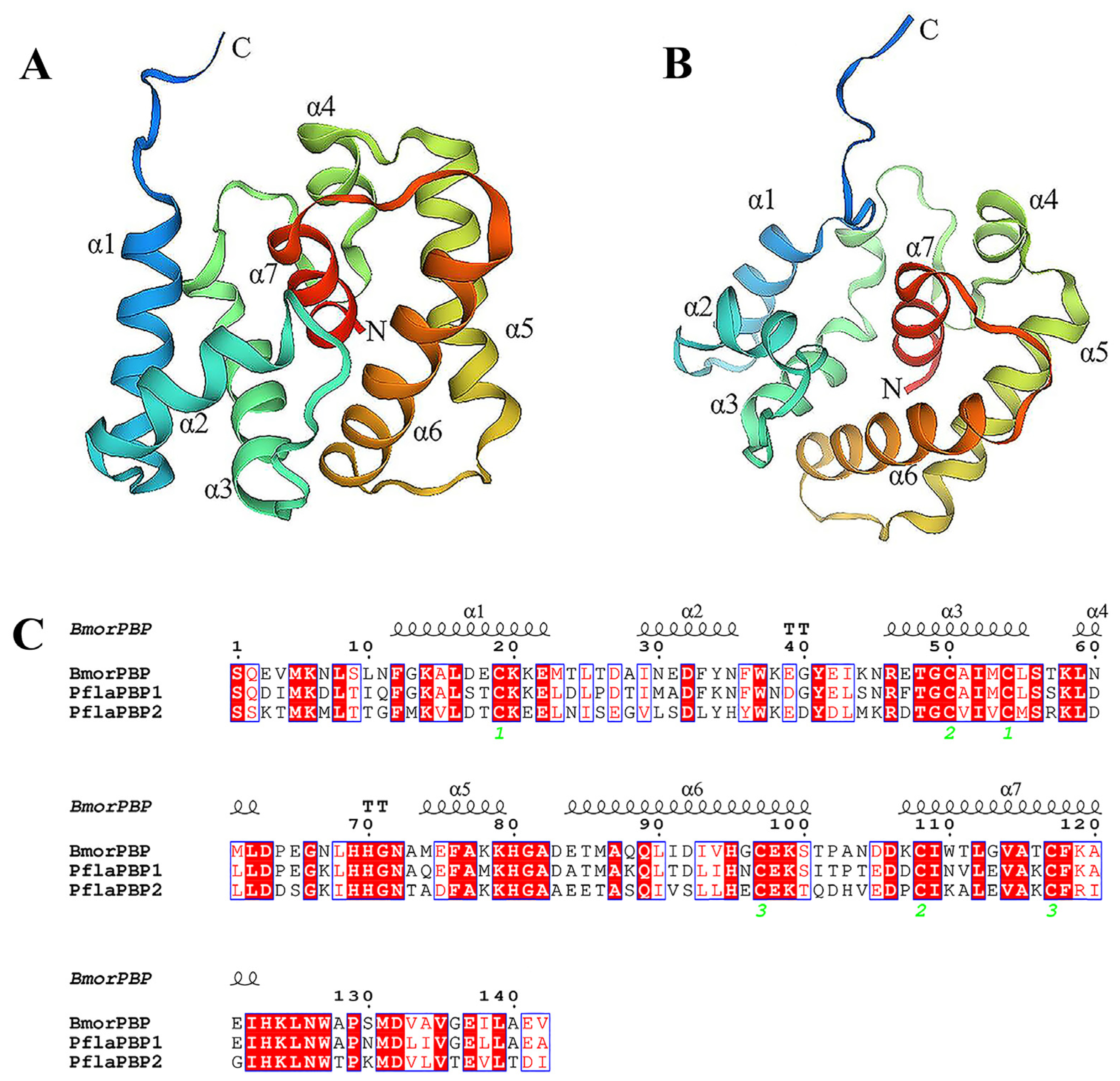 Ijms 24 00385 g006 Ijms 24 00385 g006