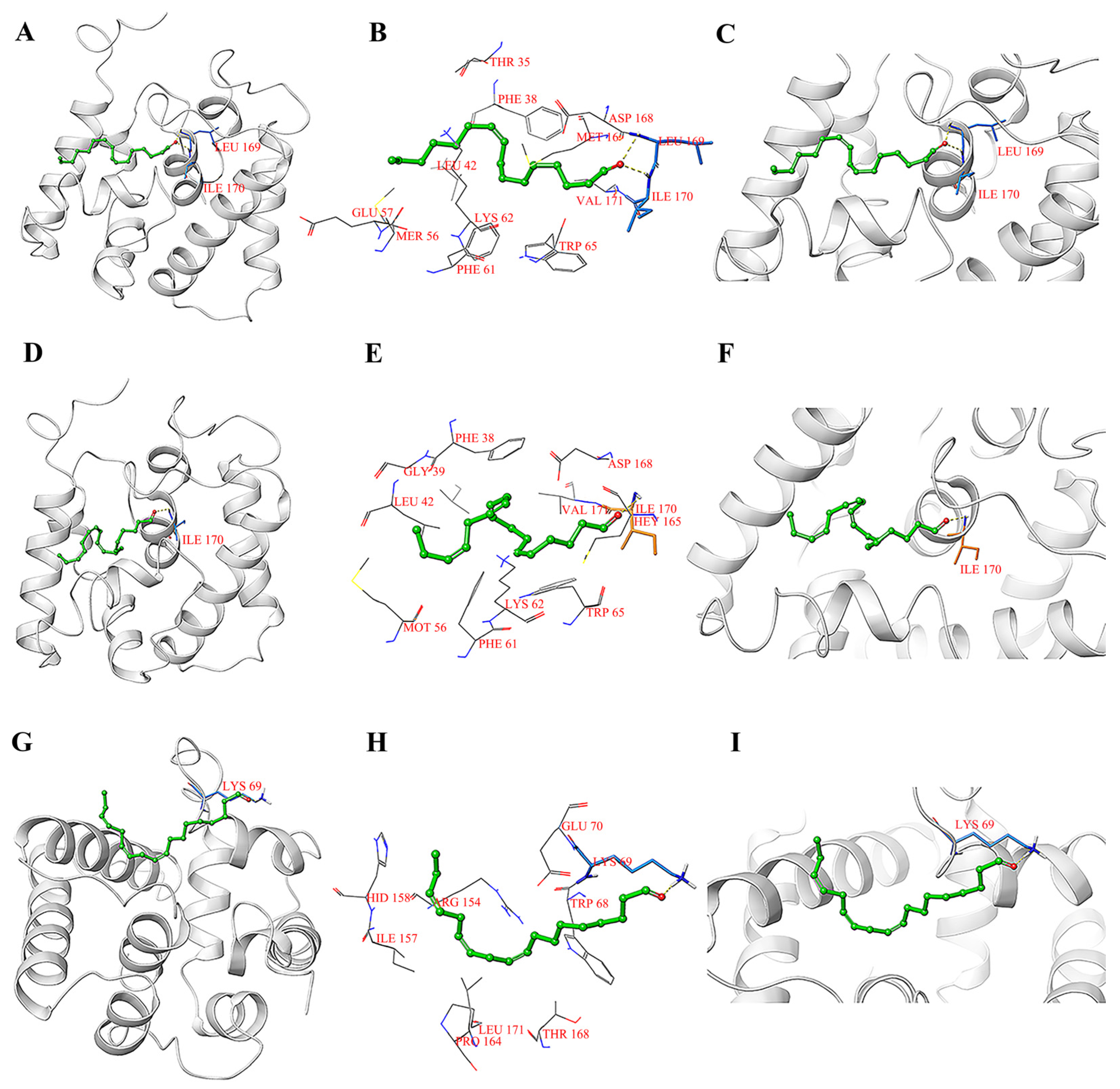 Ijms 24 00385 g007 Ijms 24 00385 g007