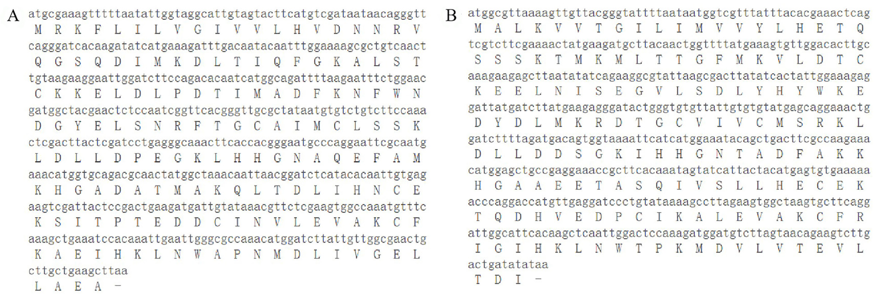 Ijms 24 00385 g0a1 Ijms 24 00385 g0a1