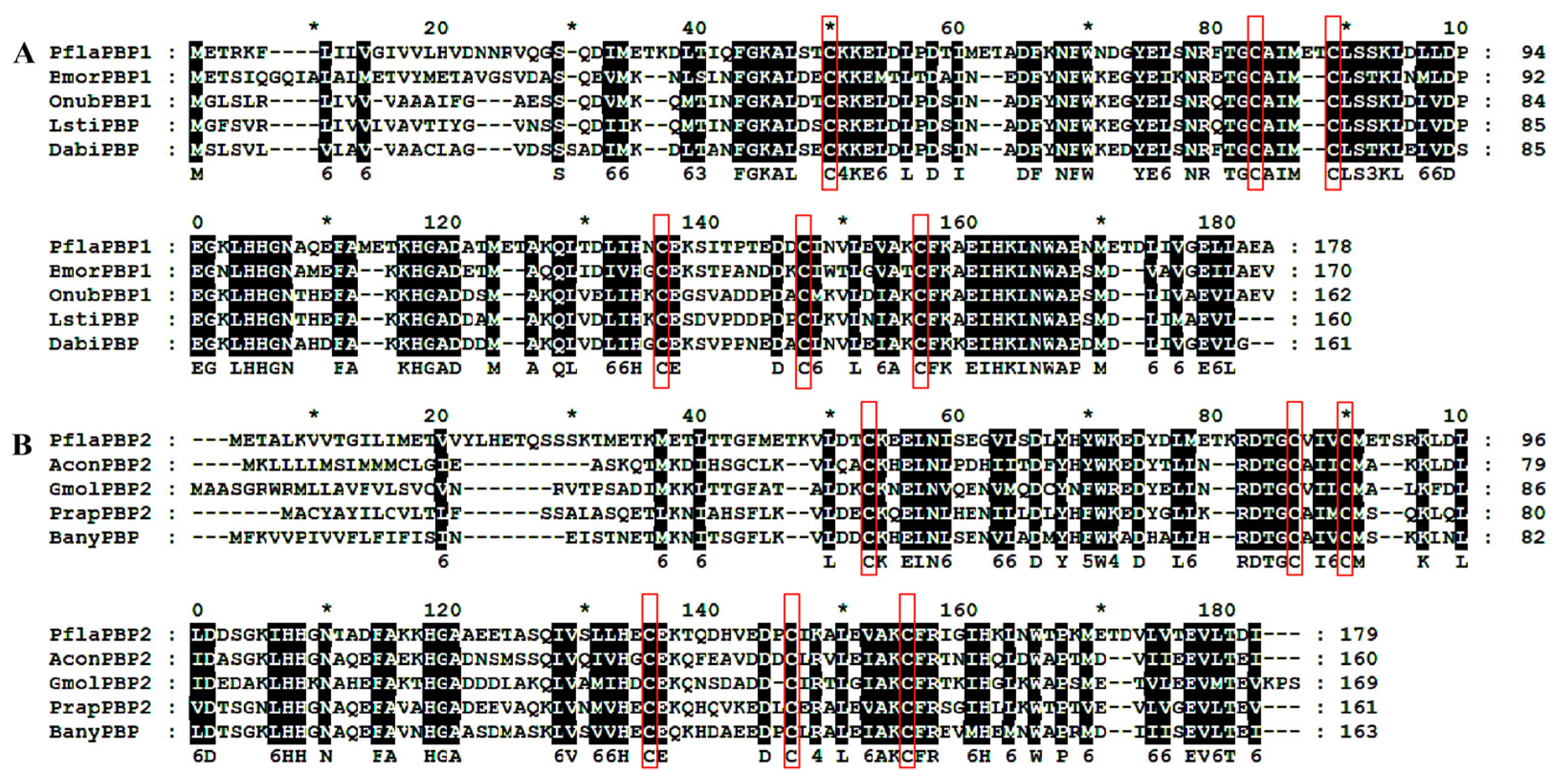 Ijms 24 00385 g0a2 Ijms 24 00385 g0a2