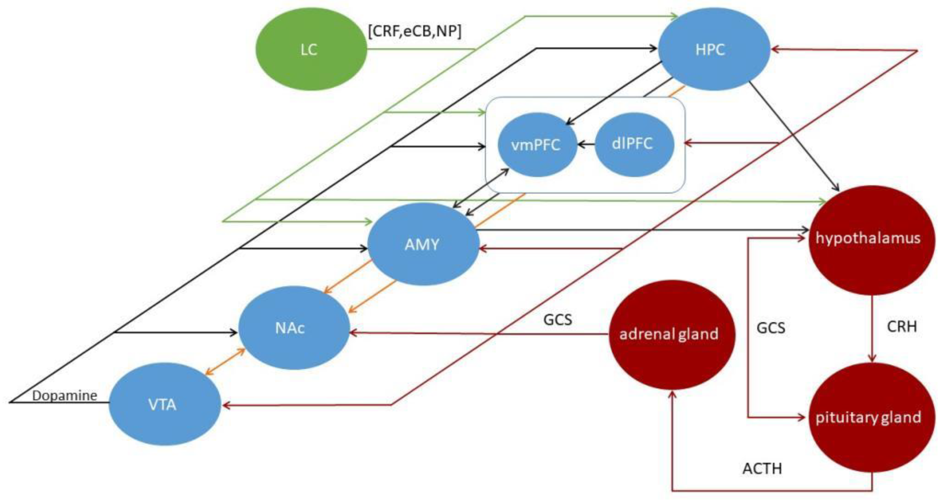 Ijms 24 00388 g001 Ijms 24 00388 g001