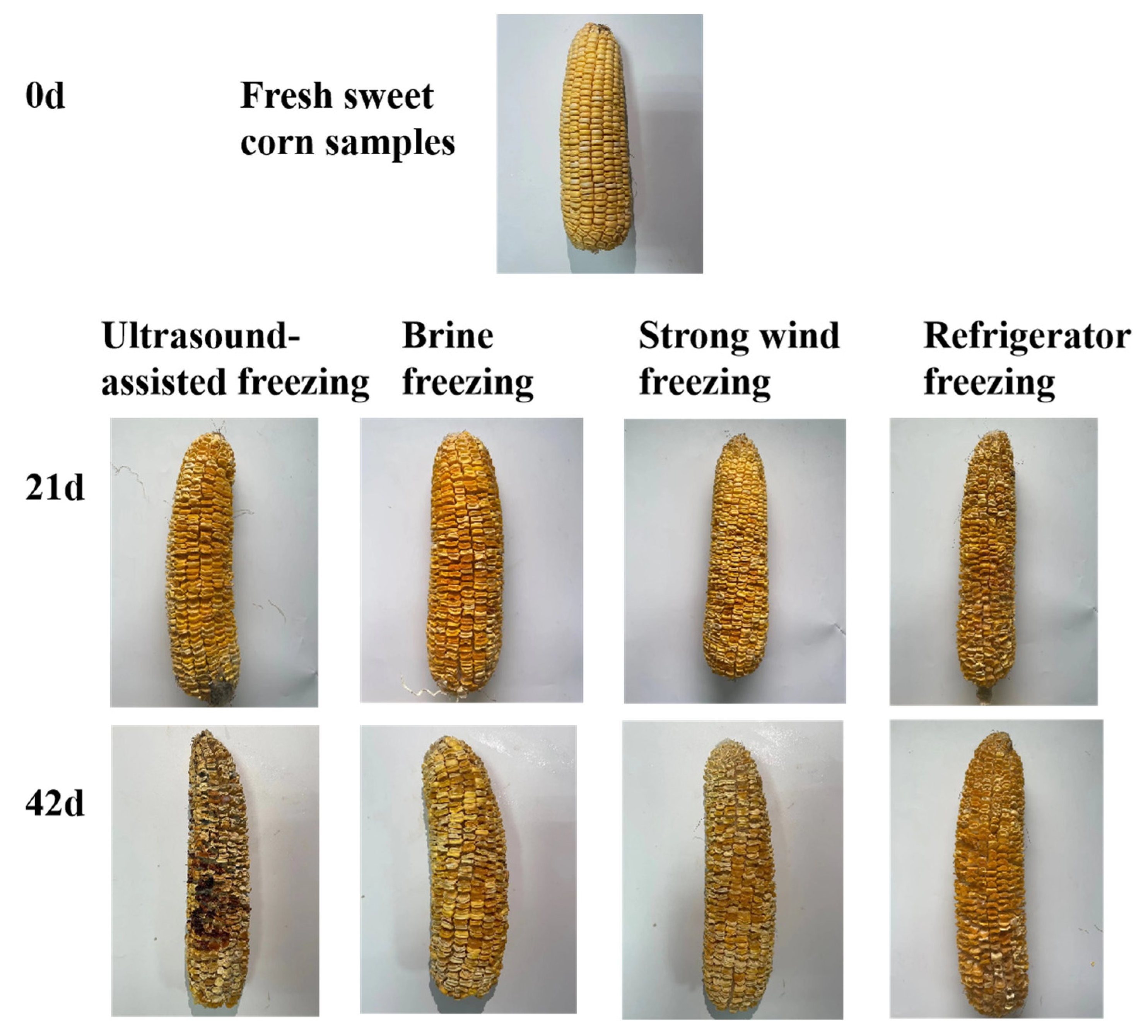 Ijms 24 00389 g001 Ijms 24 00389 g001