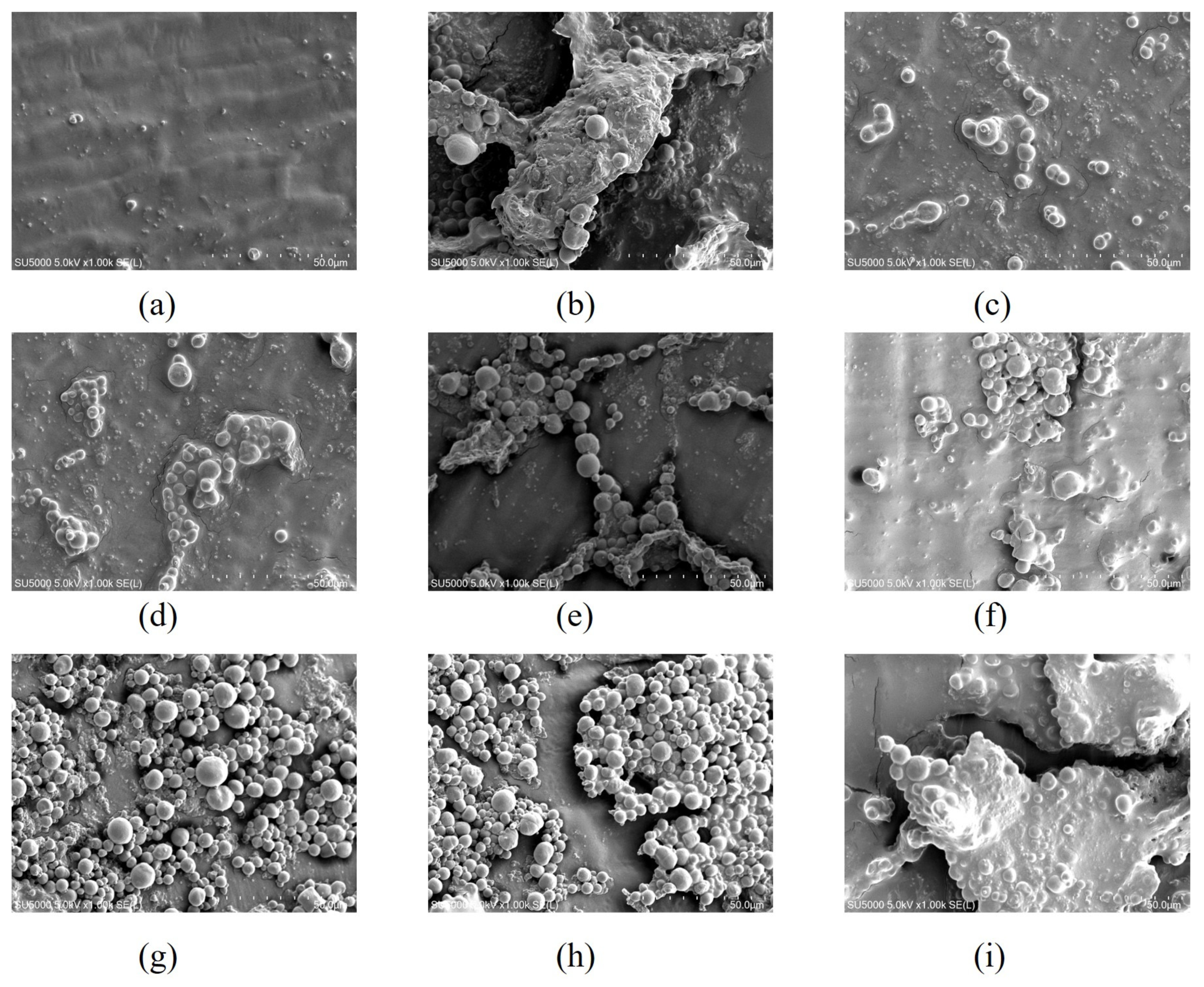 Ijms 24 00389 g003 Ijms 24 00389 g003