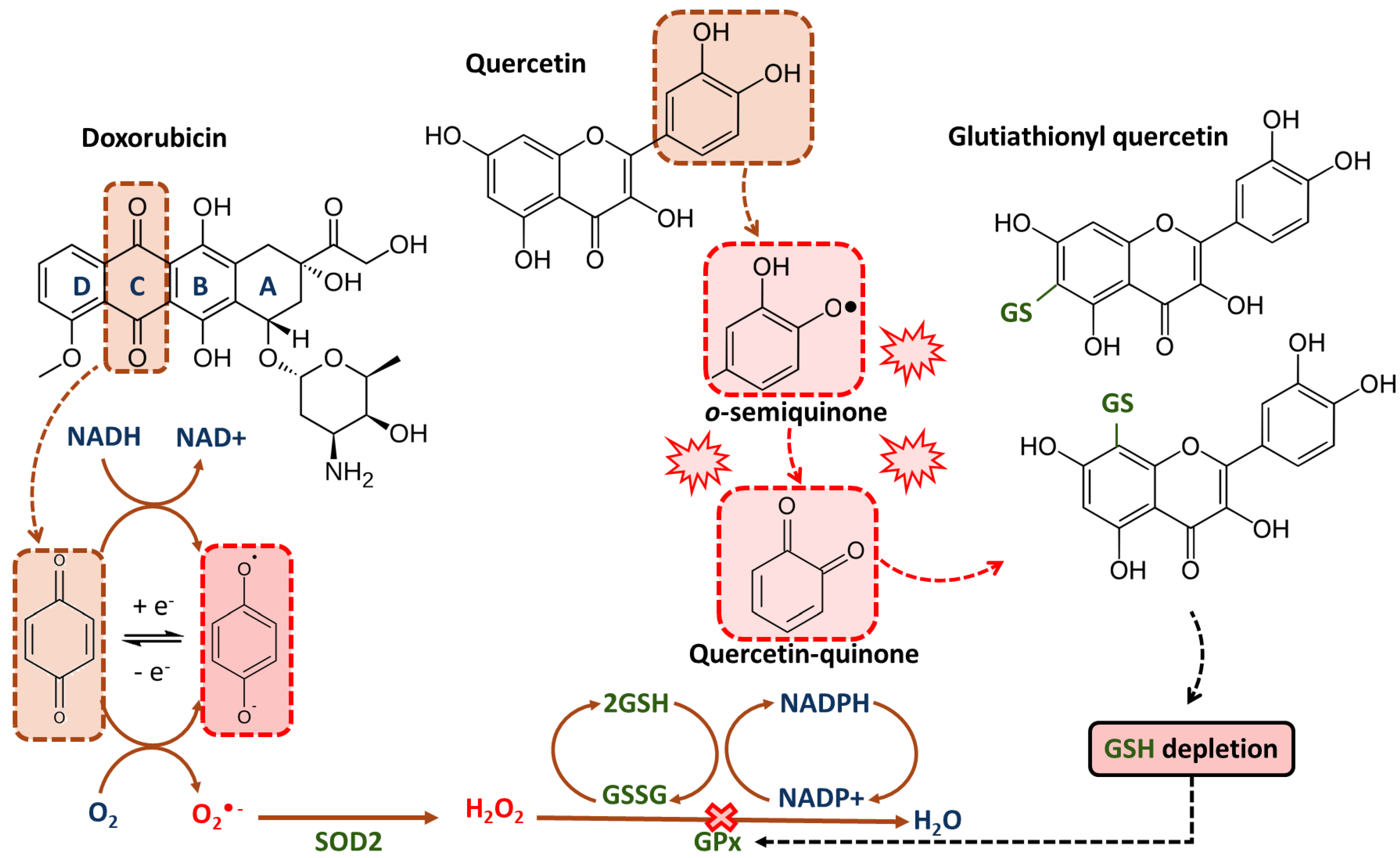 Ijms 24 00391 g003 Ijms 24 00391 g003