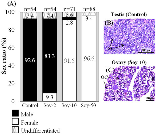 Buy soma online overnight cod