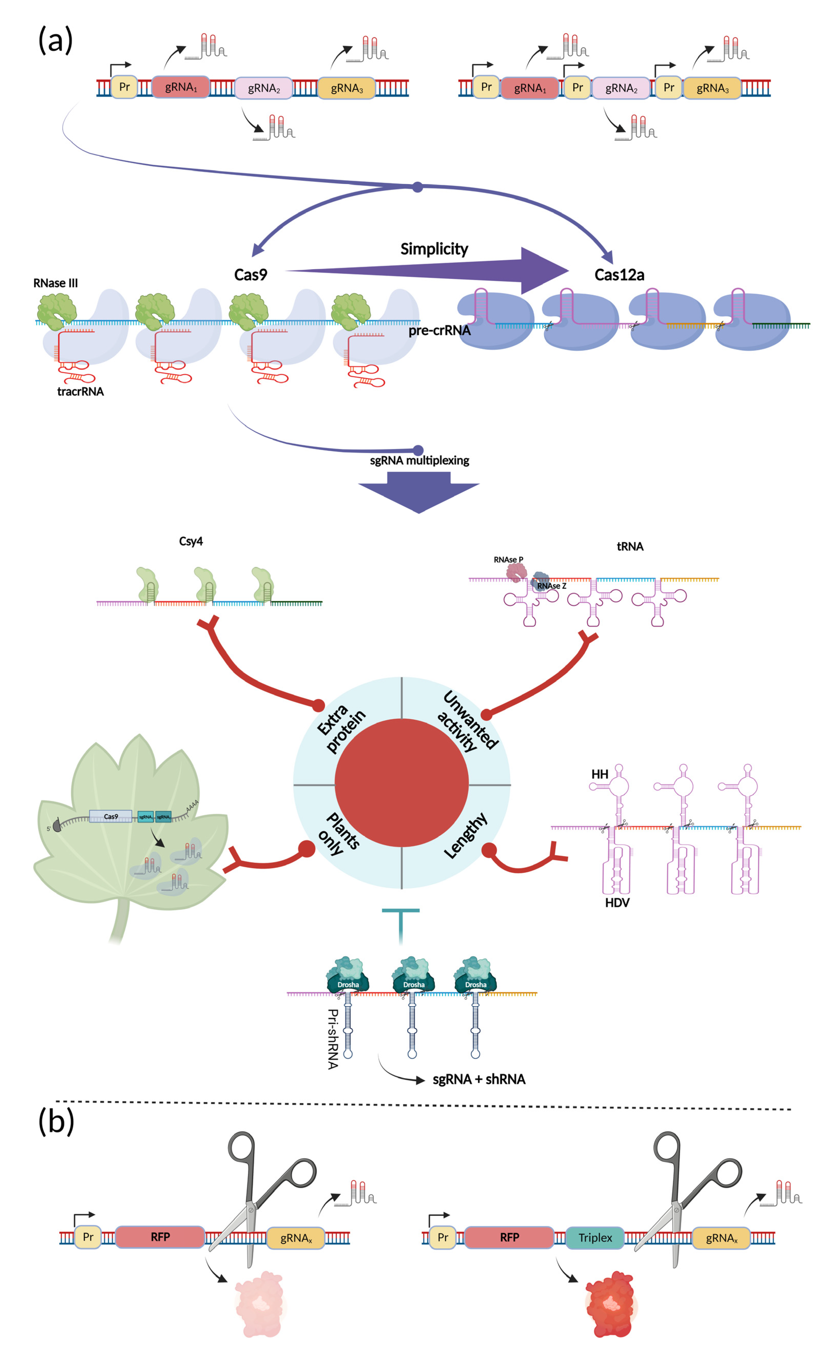 Ijms 24 00397 g003 Ijms 24 00397 g003