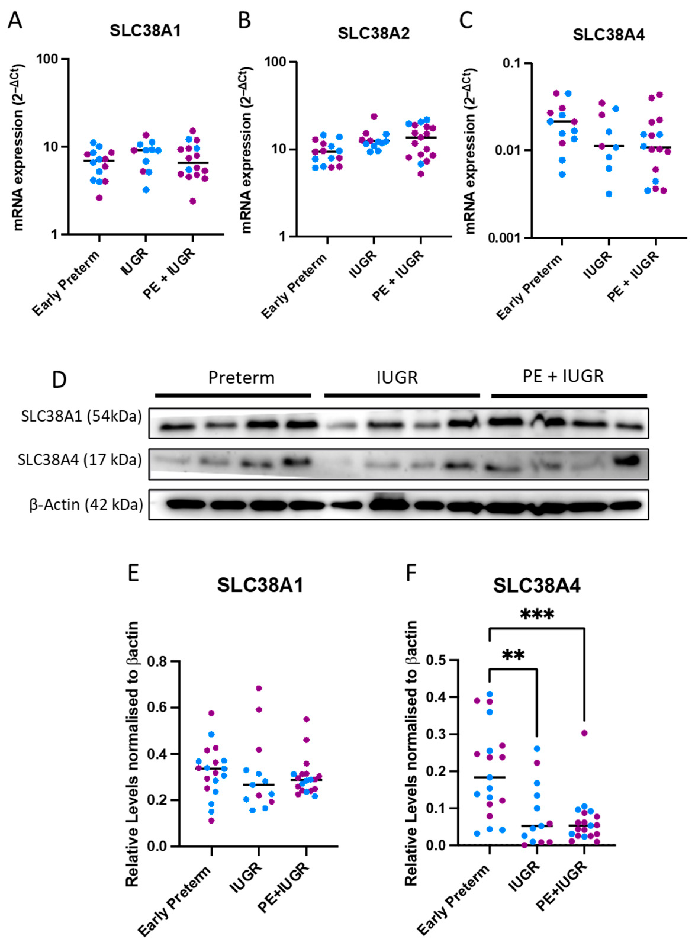 Ijms 24 00403 g001 Ijms 24 00403 g001