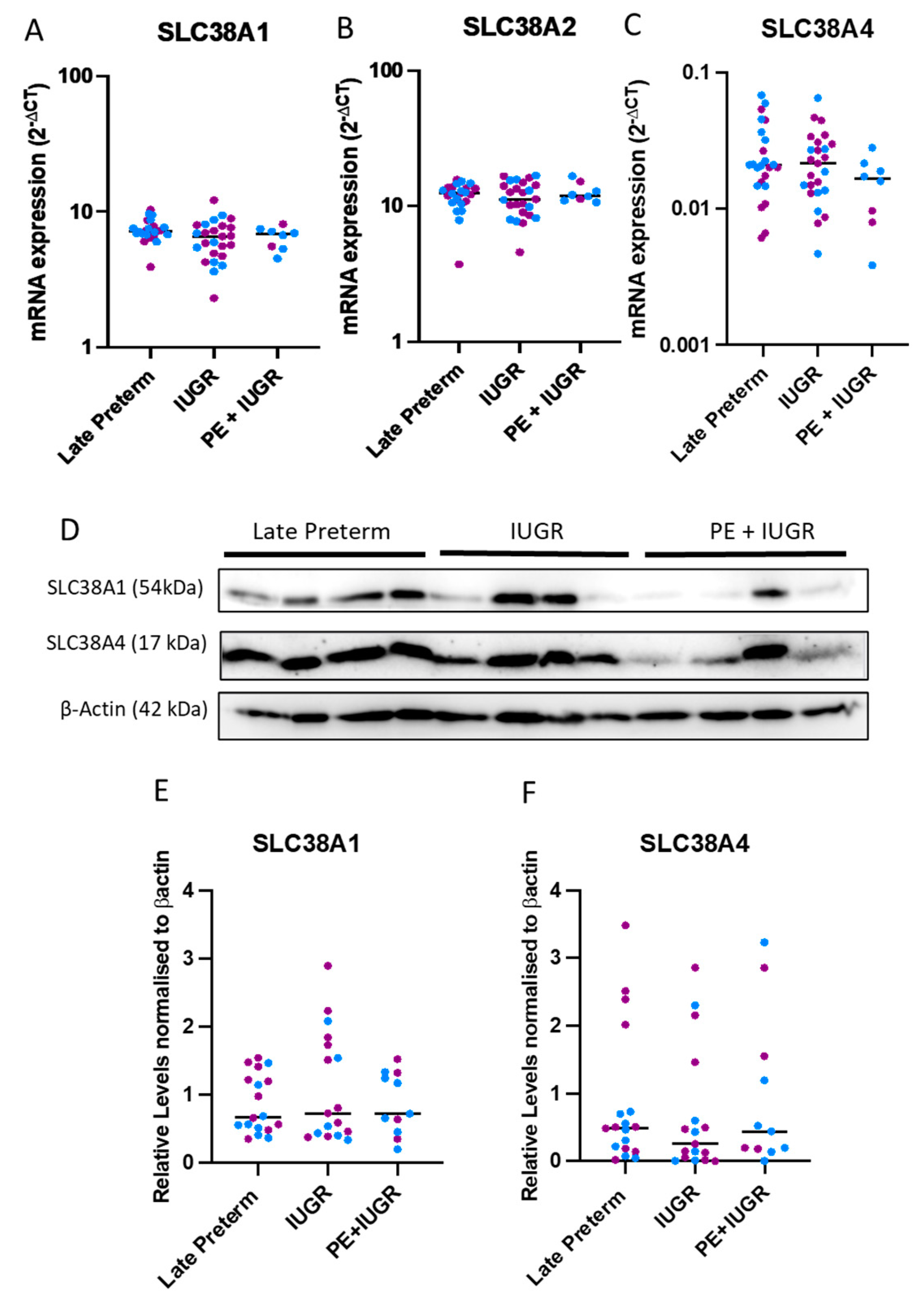 Ijms 24 00403 g002 Ijms 24 00403 g002