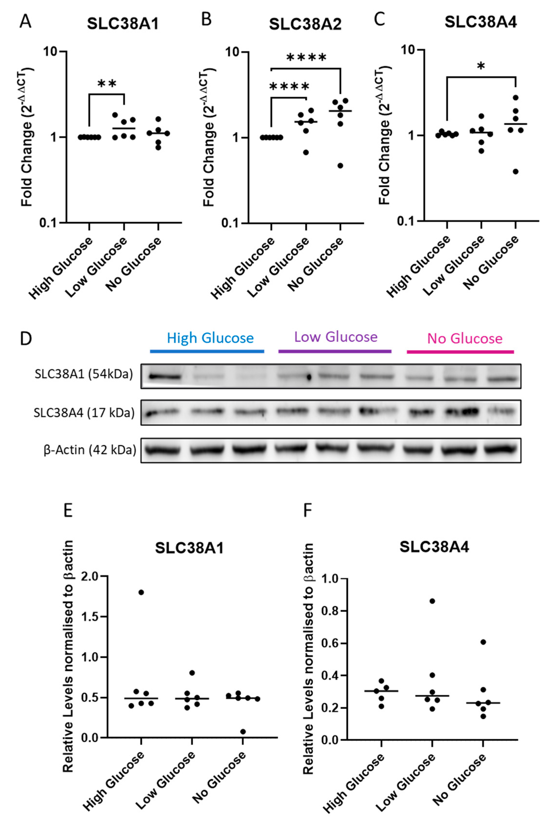 Ijms 24 00403 g003 Ijms 24 00403 g003