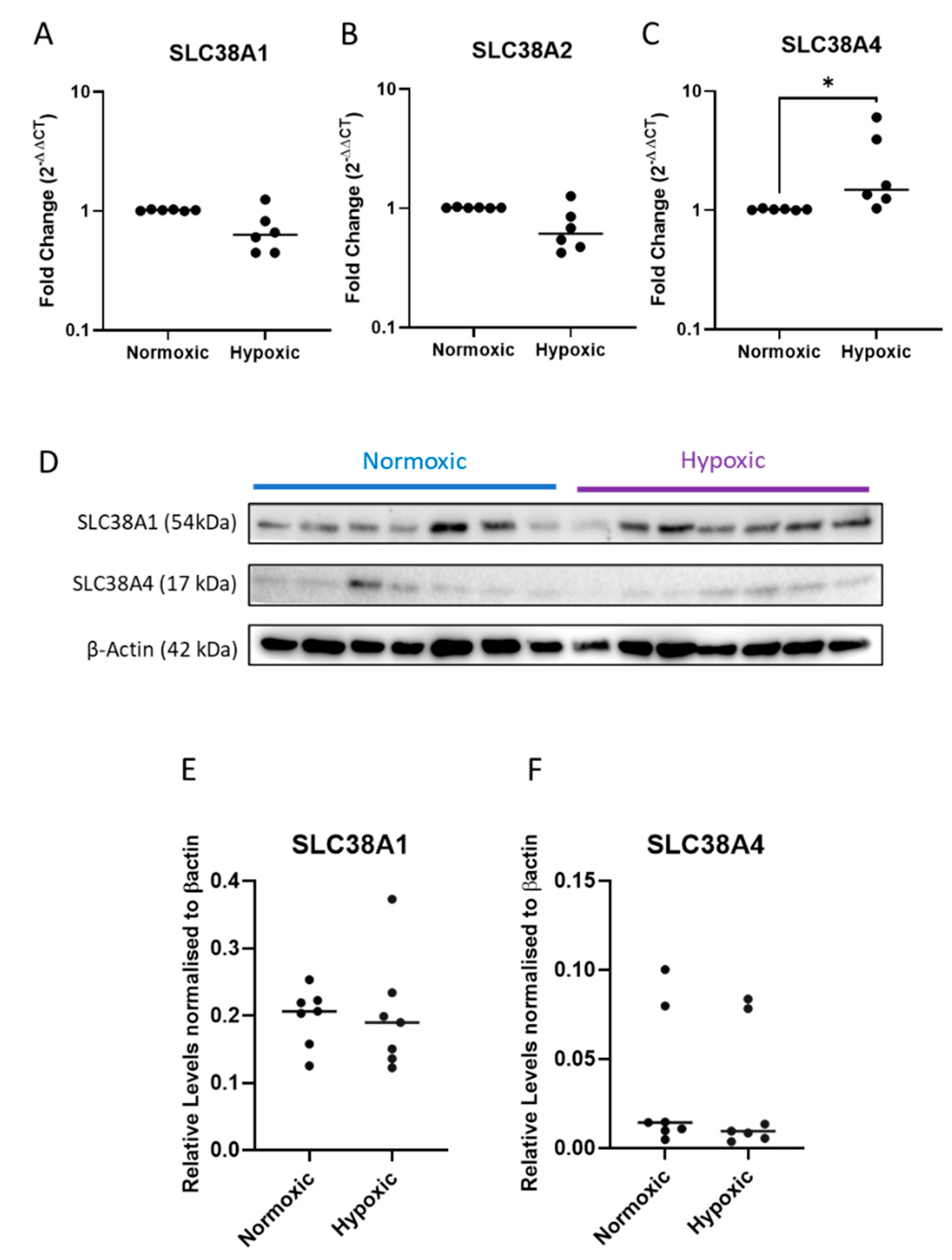 Ijms 24 00403 g004 Ijms 24 00403 g004