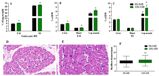 Monochromatic Green Light Stimulation during Incubation