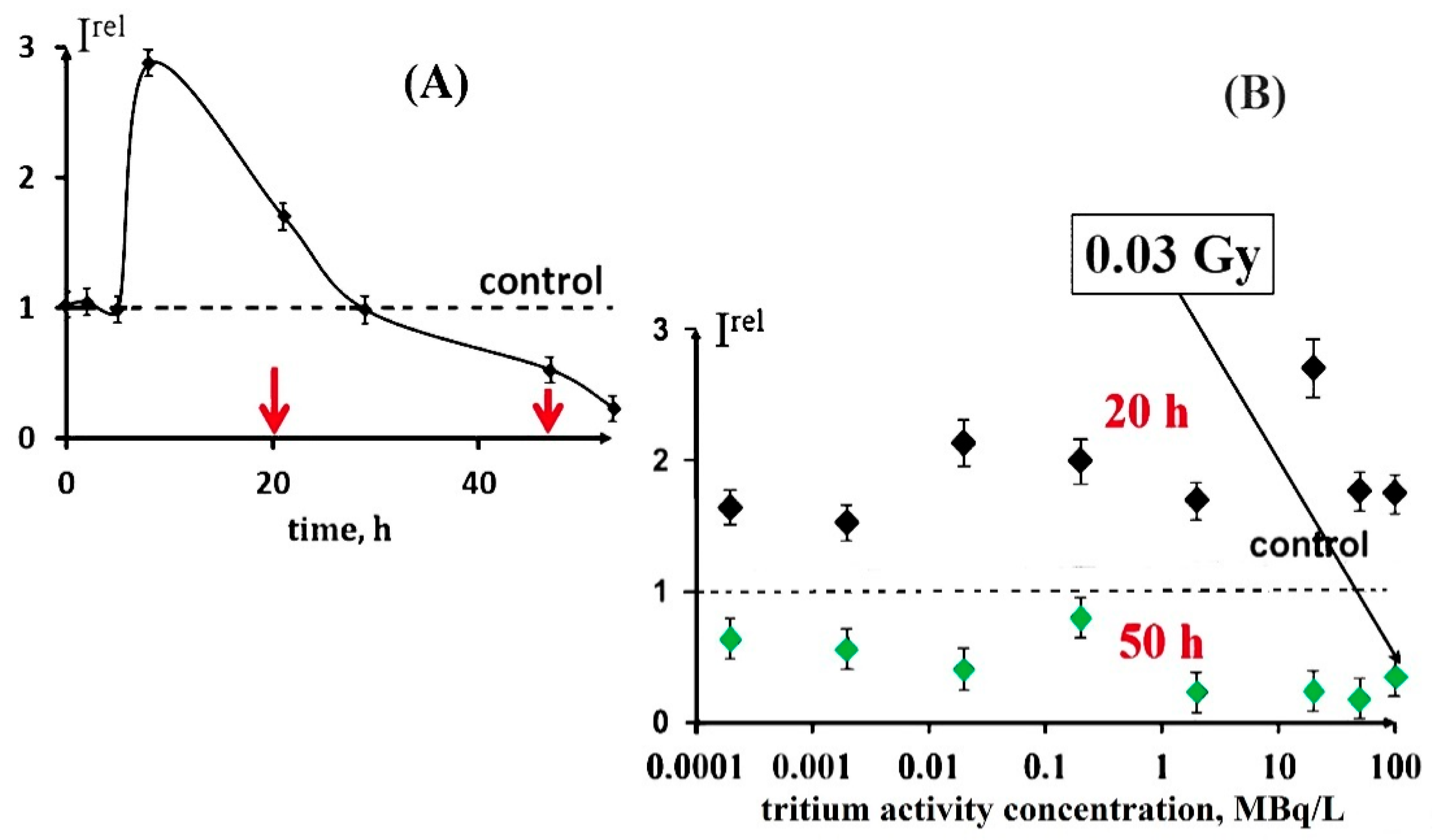 Ijms 24 00410 g004 Ijms 24 00410 g004
