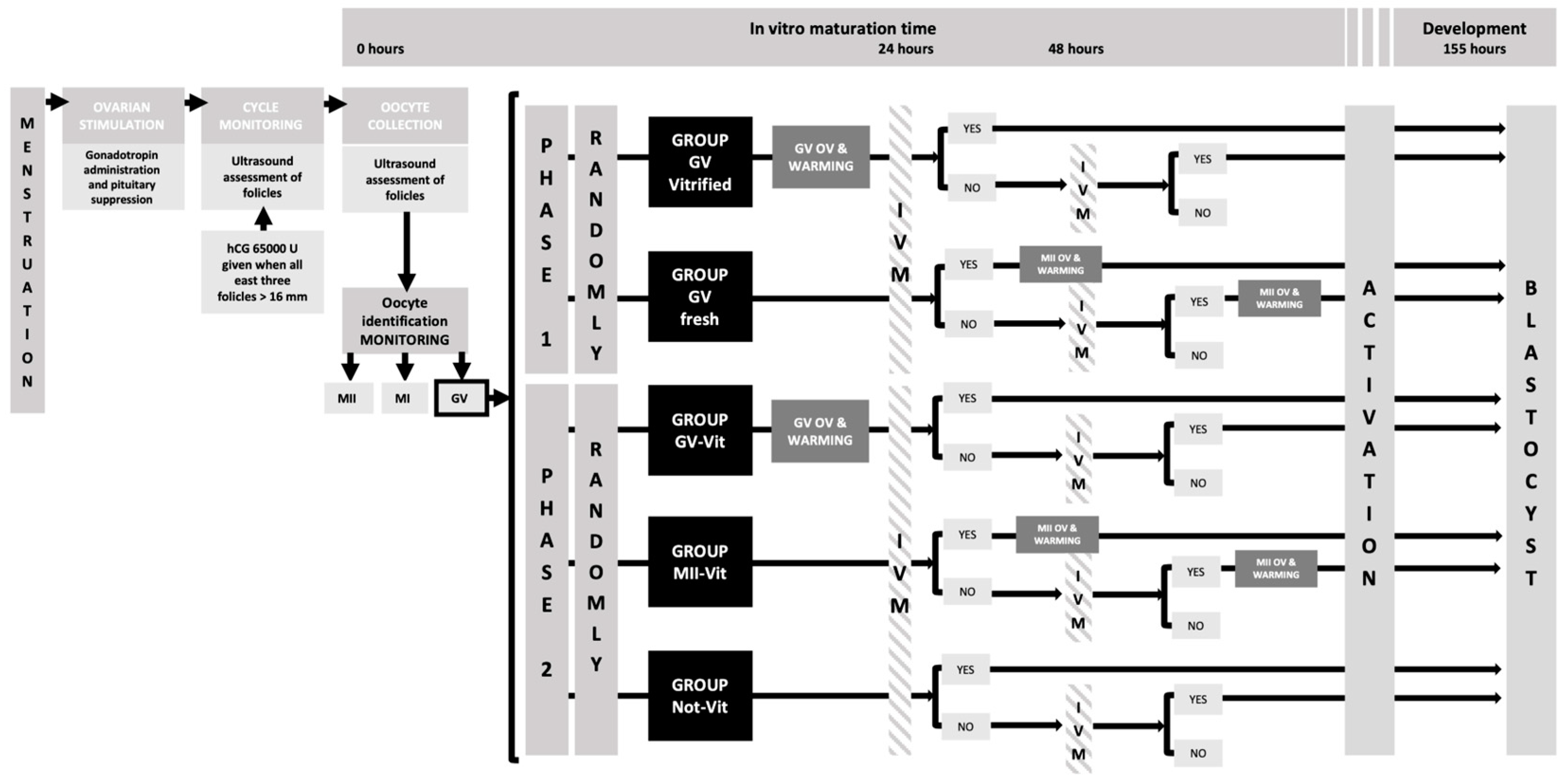 Ijms 24 00417 g001 Ijms 24 00417 g001