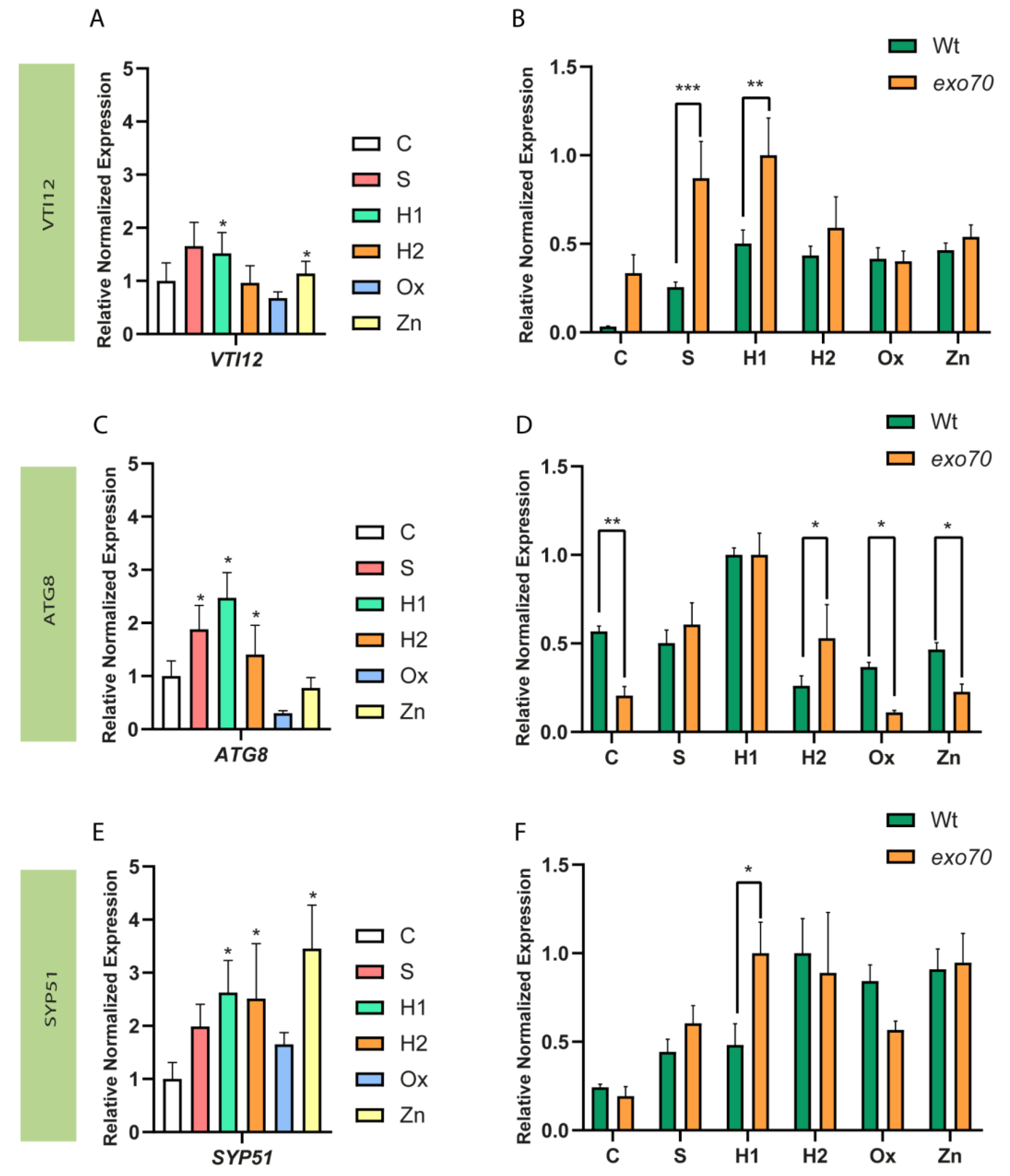 Ijms 24 00424 g002 Ijms 24 00424 g002