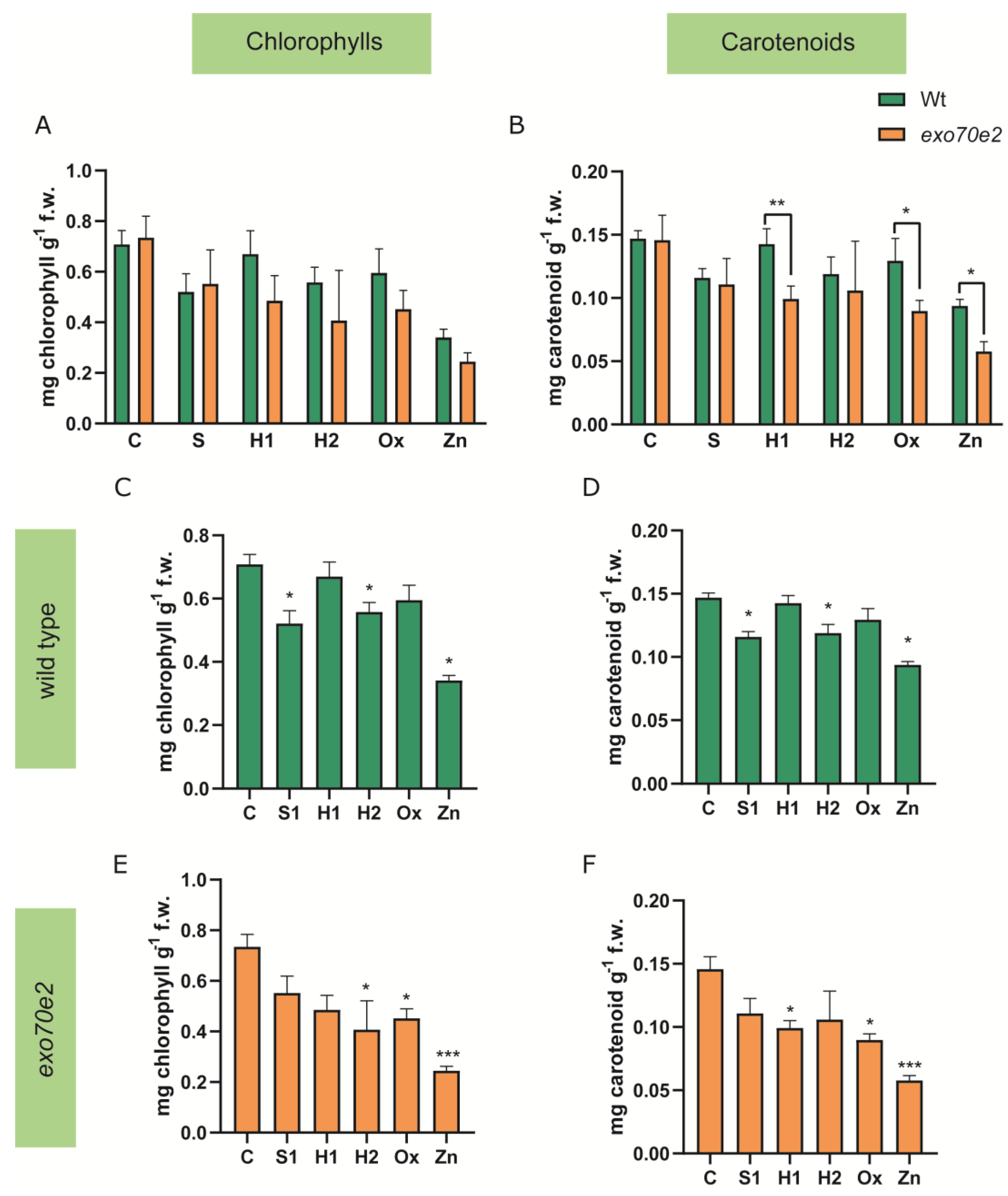 Ijms 24 00424 g003 Ijms 24 00424 g003